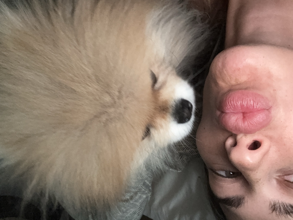 An overhead, close-up image depicts a human and a Pomeranian dog in an indoor setting in Warsaw, Poland. The lower half of the frame features the upper portion of a human's face, angled, with visible dark hair on the left, an open brown eye, and a prominent nose. The human's lips are distinctly puckered, forming a kiss shape. Directly above the human's face, occupying the upper half of the frame, is the head of a Pomeranian dog. The dog possesses light brown and cream-colored fur, a black nose, and its eyes appear closed or squinted. The dog's head is positioned in close proximity to the human's puckered lips. A light-colored, possibly textured fabric is partially visible in the blurred background behind the dog's head.