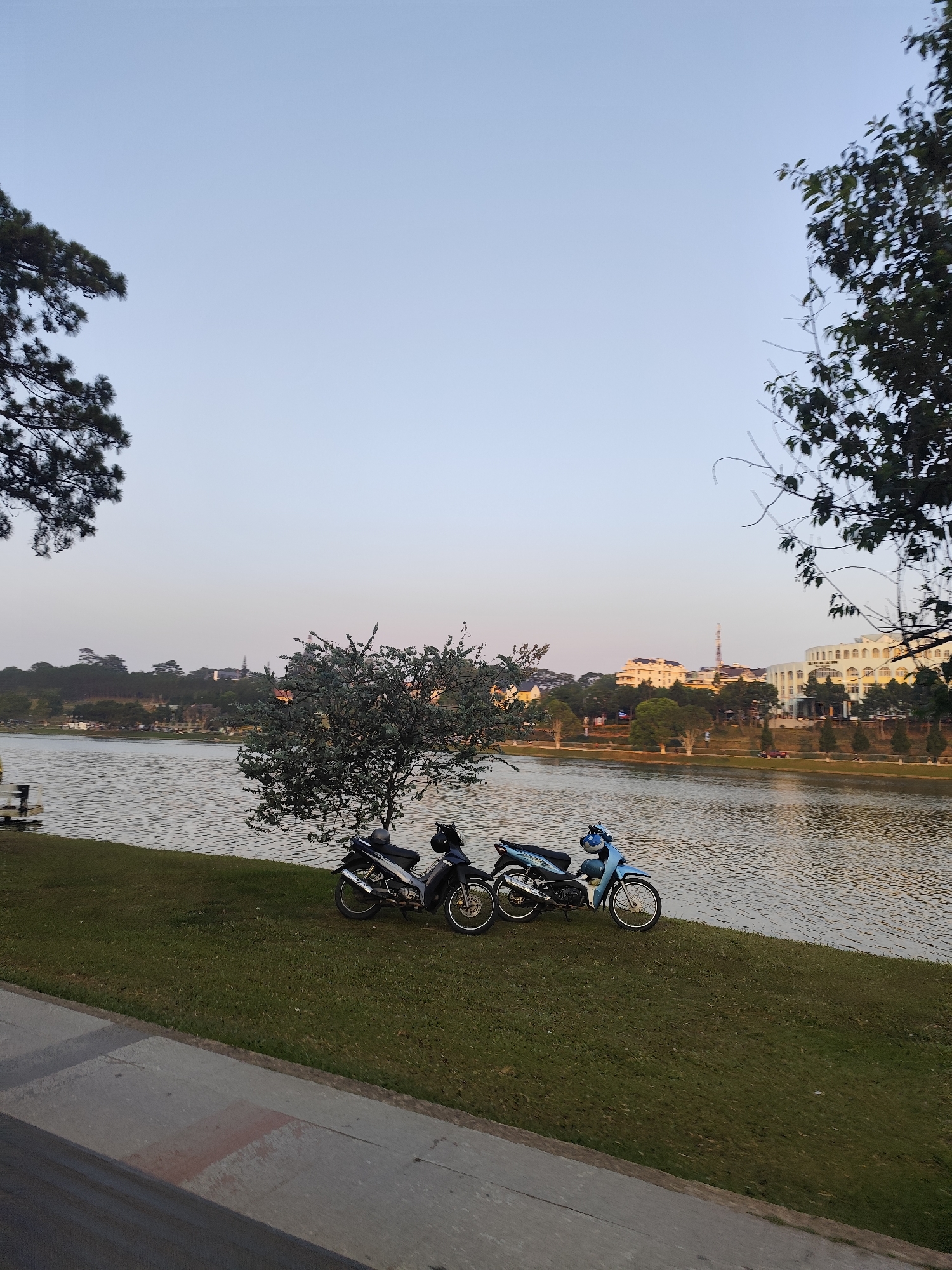 The image shows a lakeside scene in Da Lat, Vietnam. Two motorbikes are parked on a grassy bank along the edge of Xuan Huong Lake. A small tree is positioned between the two motorbikes. The lake is calm and reflects the buildings and sky above. In the background, buildings are visible, including what appears to be the Dalat Palace Hotel. The sky is a clear, pale blue. The foreground includes a section of pavement. The light suggests it is either early morning or late afternoon. There are no people visible in the frame.