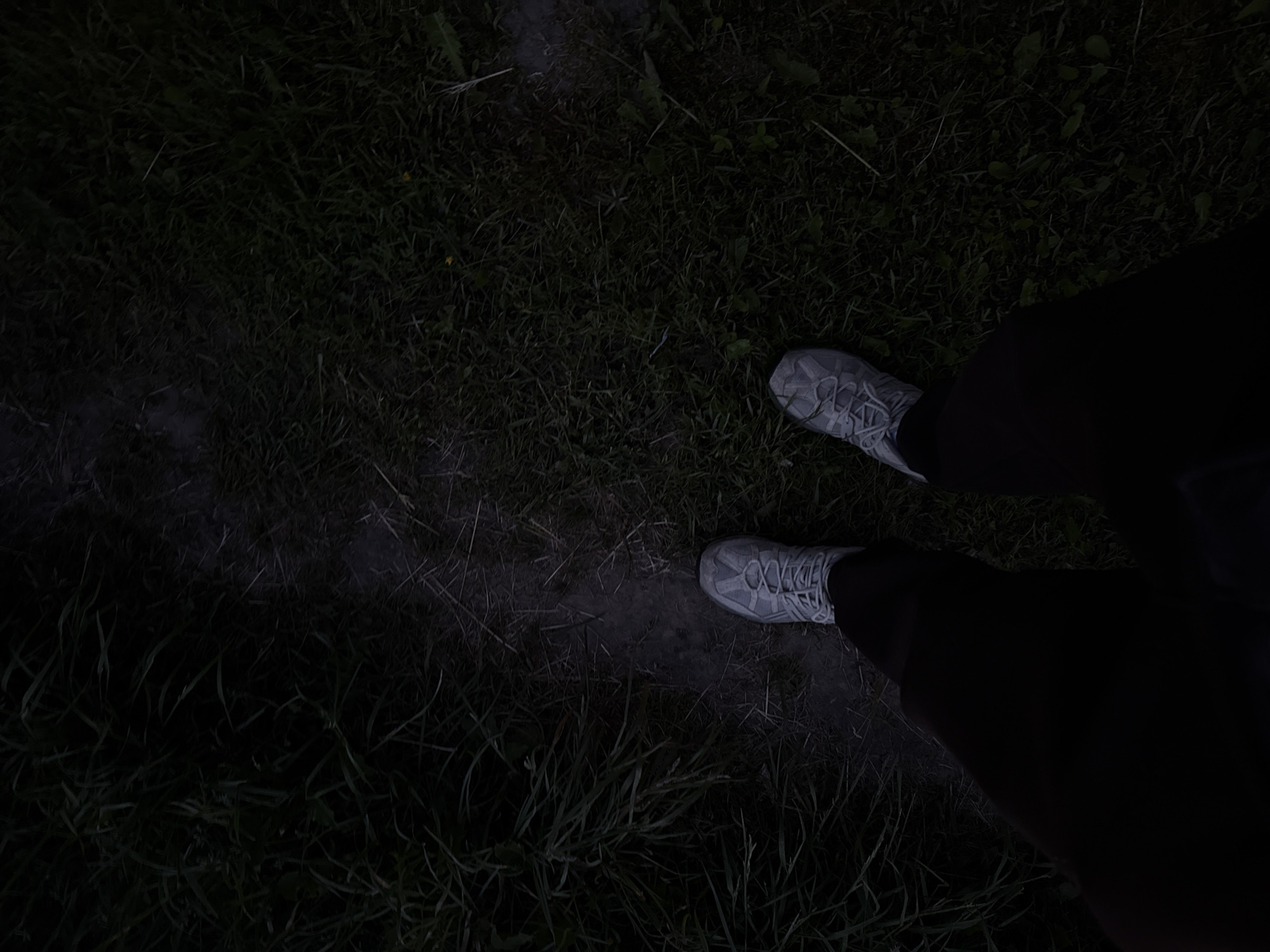 The image captures a first-person, downward view of a person's feet on a dark, grassy path. The subject is wearing light grey or white athletic sneakers with visible laces and dark pants, contrasting with the dim surroundings. The ground beneath the sneakers is an unpaved, lighter-colored dirt or muddy path, worn through dense, dark green grass and scattered low-lying vegetation.
The scene is enveloped in very low light, strongly suggesting it is nighttime, late evening, or pre-dawn. This dim illumination makes the details beyond the immediate foreground indistinct and creates a somber or mysterious atmosphere. There are no discernible weather conditions or visible text. The setting appears to be an outdoor, natural environment, likely a trail or rural track, aligning with the location context of Лабжанскі сельскі Савет, Belarus. The activity depicted is simply standing or pausing on the path.