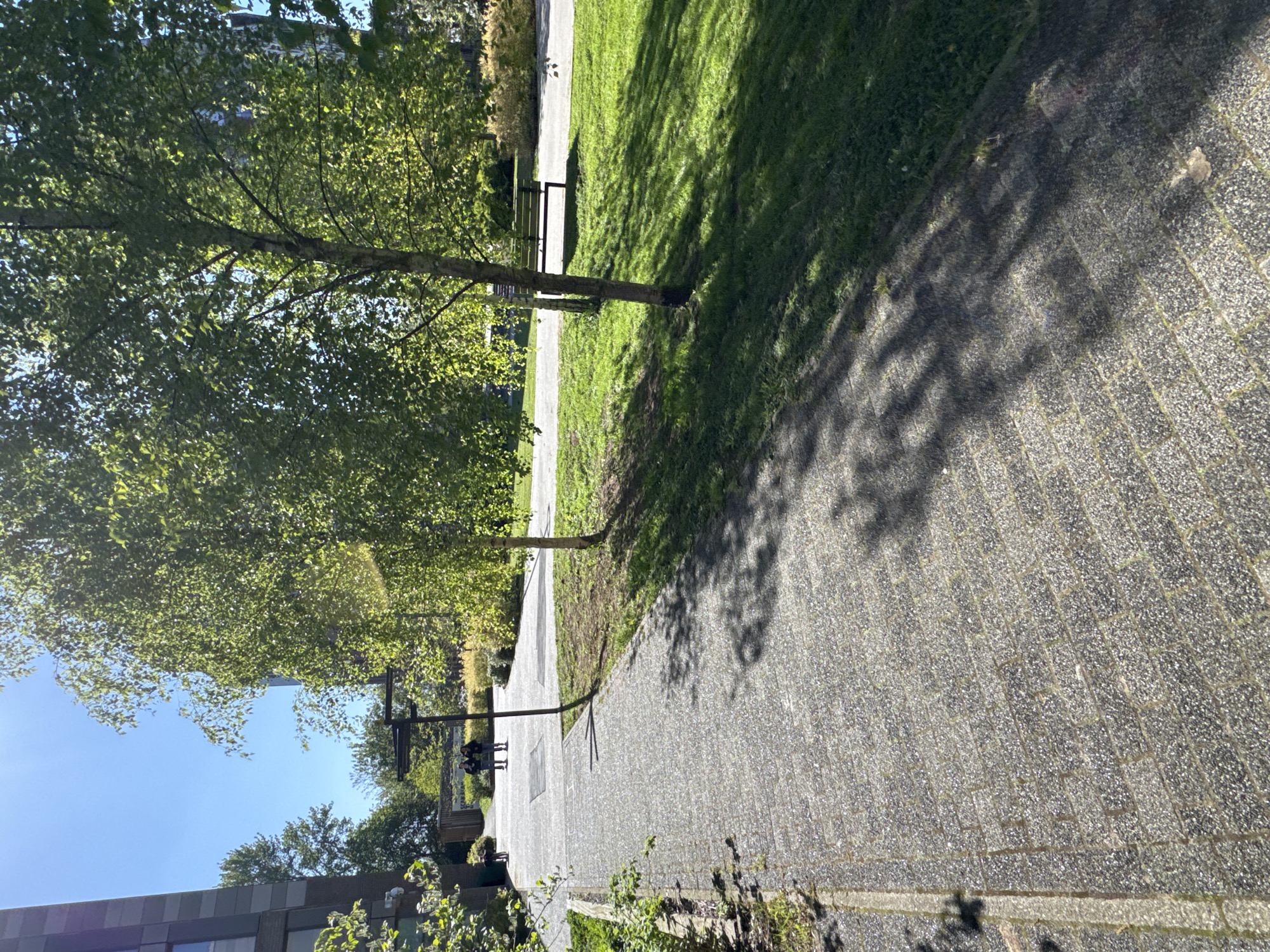 This outdoor scene captures a sunlit paved pathway bordered by green grass and mature trees, likely in a park or campus setting in Hull, United Kingdom. The wide pathway is constructed from light grey rectangular pavers, stretching into the distance, and is heavily patterned with distinct, dappled shadows cast by overhead trees.
To the right of the path is a vibrant expanse of green grass. To the left, several deciduous trees with lush, bright green foliage line the walkway. One prominent tree trunk stands near the center of the frame. A dark-colored park bench with a slatted seat and back is visible on the grassy area next to the path, under the shade of a tree. Further along the pathway, near another seating structure, two indistinct figures can be seen, appearing to stand or sit.
Above the trees on the far left, a clear, bright blue sky is visible, indicating a sunny day. The strong, elongated shadows suggest either morning or late afternoon. A modern building with grey and white horizontal cladding is partially visible in the bottom-left corner of the frame. The scene conveys a sense of peace and natural beauty within an urban or semi-urban environment. No visible text is present.