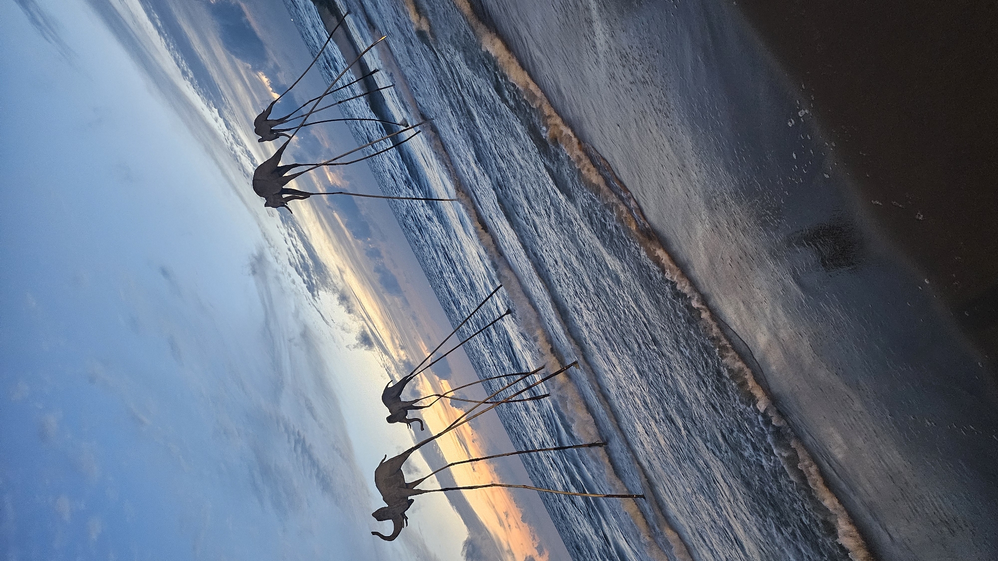 The image depicts a beach in Phú Quốc, Vietnam, at twilight. Several abstract sculptures resembling animals on stilts are partially submerged in the ocean, with their long legs creating sharp angles against the water. The sky is a blend of blues and oranges, with wispy clouds indicating the transition from day to night. Waves gently lap at the shore, reflecting the soft light. The sand in the foreground is wet and dark, with some scattered bubbles from the receding tide. The overall scene is serene and artistic, capturing a unique moment on the Vietnamese coast.