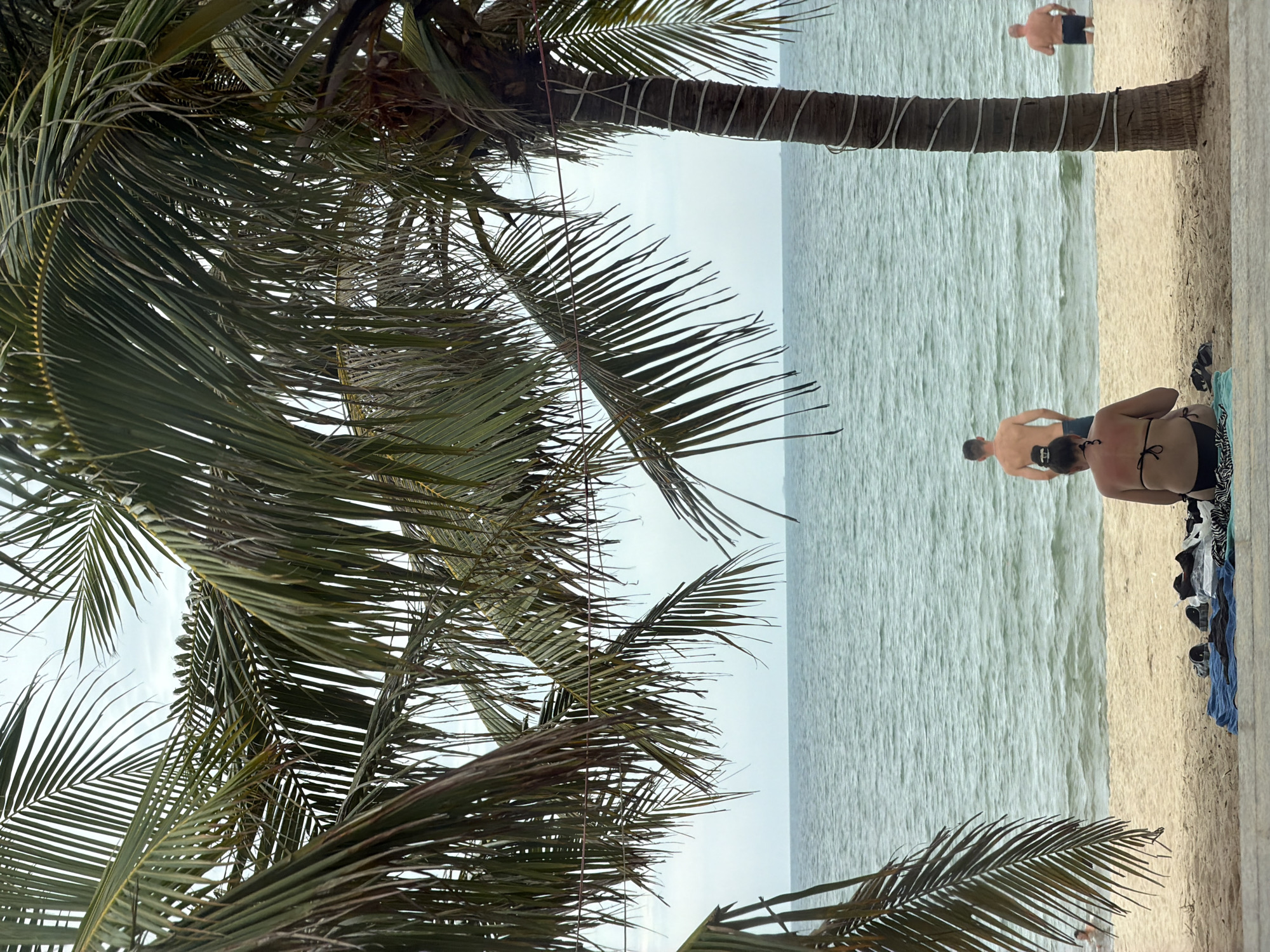 The image depicts a beach scene in Nha Trang Ward, Vietnam. In the foreground, palm tree fronds frame the view. Further back, the beach stretches towards the sea. There are people on the beach and in the water; a woman in a bikini sits on the sand. A man stands in the water near her. Another man is seen further down the beach near a palm tree. The sky is overcast, and the sea is calm.