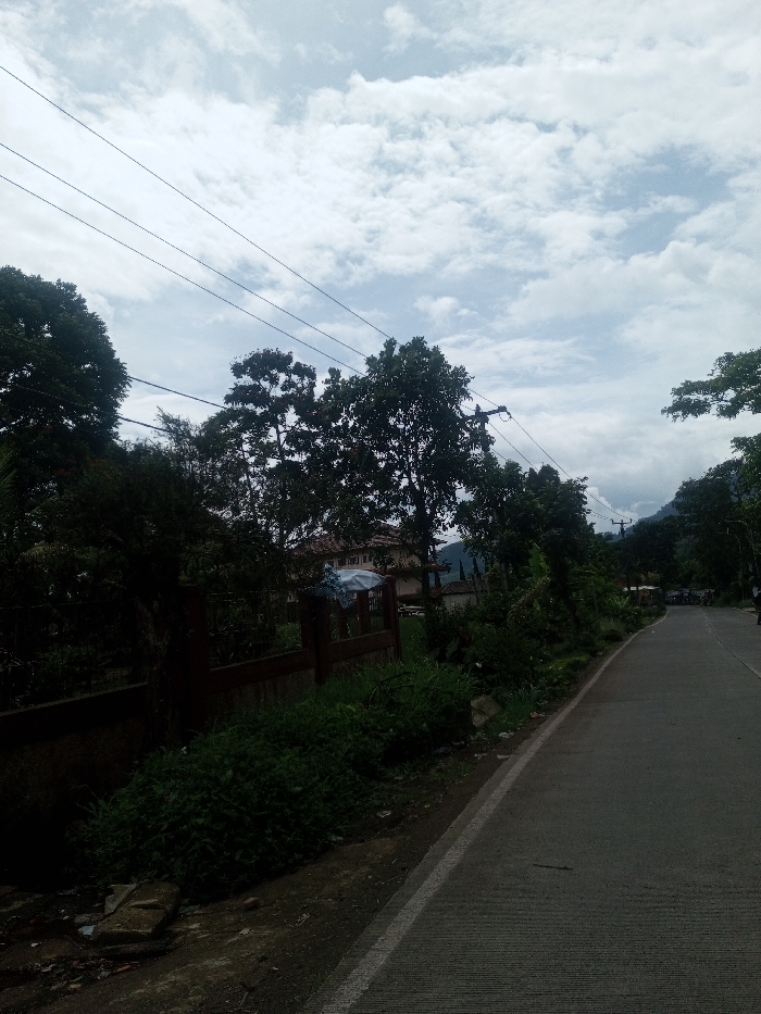 The image depicts an outdoor scene in Sarwahi Mal., India, characterized by a paved road running along the right side and dense vegetation on the left. The sky is overcast with a significant presence of white stratocumulus clouds, revealing patches of lighter blue.
In the foreground, a dark gray concrete road with horizontal scoring marks extends from the bottom right, curving slightly uphill towards the upper right. A solid white line delineates the left edge of the road. Adjacent to the road's left edge is a dirt and grass verge containing scattered debris, including broken concrete pieces and dark green undergrowth.
To the left of the verge, a dark brown, possibly wooden, fence or wall runs horizontally. Behind this fence, substantial dark green foliage from various trees and shrubs occupies the midground. Through a gap in the foliage, a multi-story building with light-colored walls and a reddish-brown roof is visible. A white, possibly tarp-covered object is partially discernible behind the fence and vegetation. Overhead, multiple dark utility lines run horizontally across the frame, strung between unseen poles.
In the background, more dense trees and vegetation extend, with dark hills or mountains visible beneath the cloudy sky. Further down the curving road, indistinct shapes suggest the presence of vehicles or structures. No clearly identifiable individuals or specific human actions are discernible.