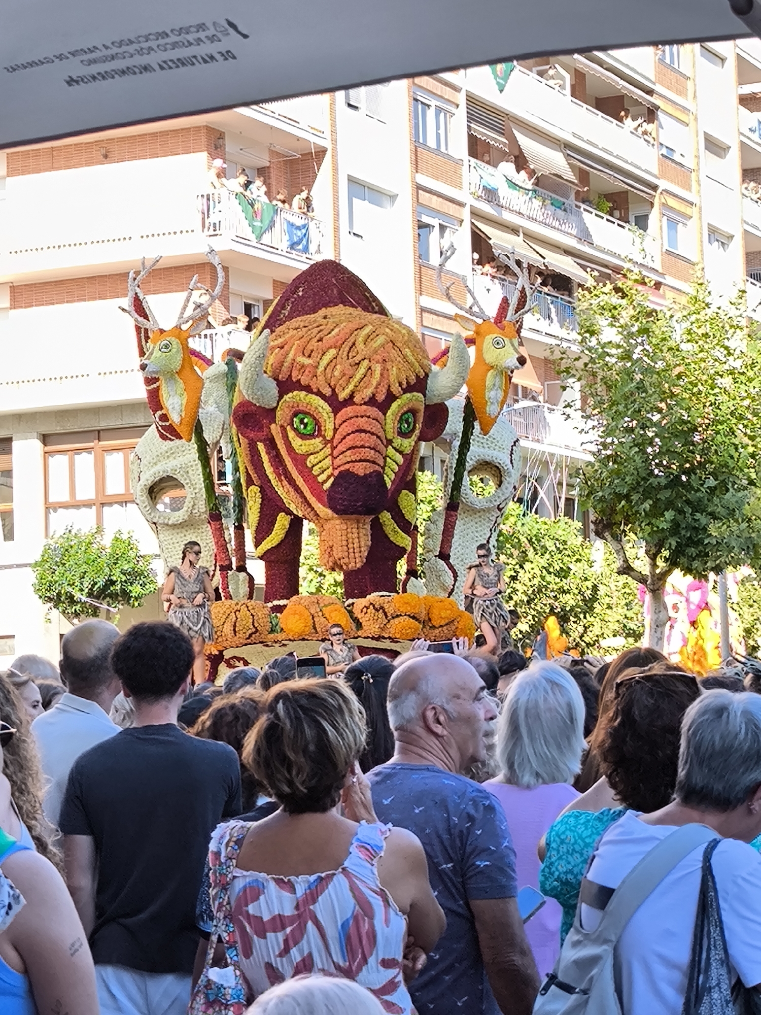 In Laredo, Spain, a vibrant parade float, adorned with colorful flowers, features a large, stylized bull's head as its centerpiece. Two deer figures, also constructed from floral elements, stand on either side of the bull, with one deer appearing to be partially obscured by the bull's head. A woman dressed in a tribal-style costume, with a leopard-print skirt and a top made of what appears to be natural fibers, is positioned on the float, striking a pose. Behind her, a crowd of spectators lines the street, with some individuals visible on balconies of the surrounding buildings. The buildings themselves are modern, multi-story structures, suggesting an urban setting. The atmosphere appears festive, with people gathered to witness the parade.