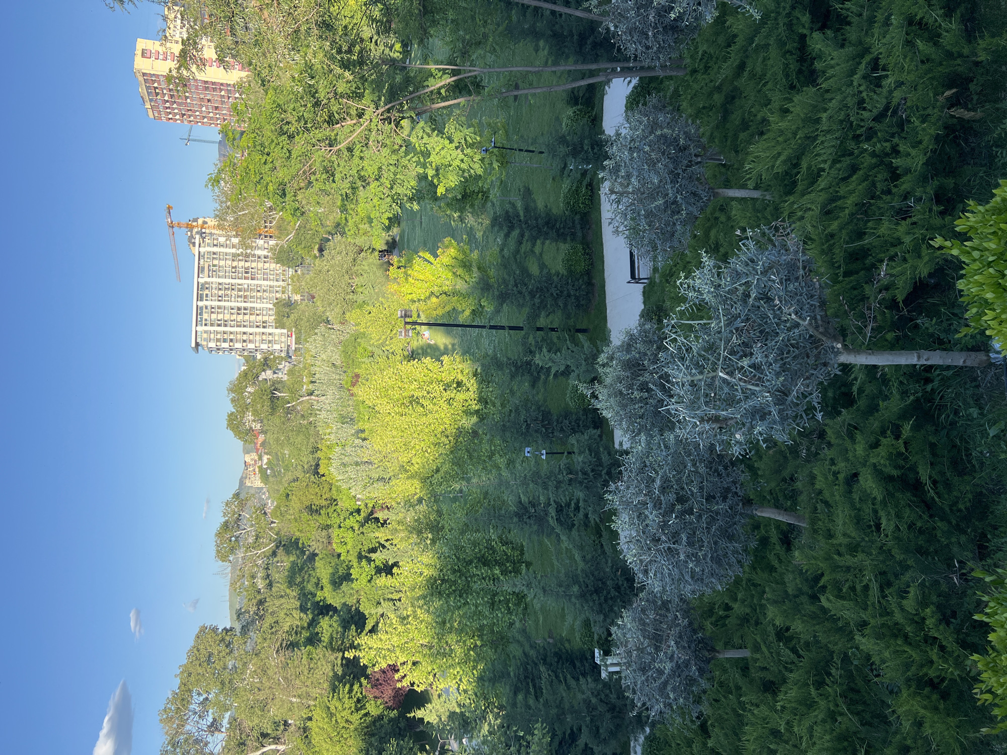The image depicts a park in Tbilisi, Georgia, with buildings visible in the background and a blue sky above. The park contains various trees and plants, and a paved path runs through it. There are street lights along the path. Tall buildings are under construction, one with a crane.
