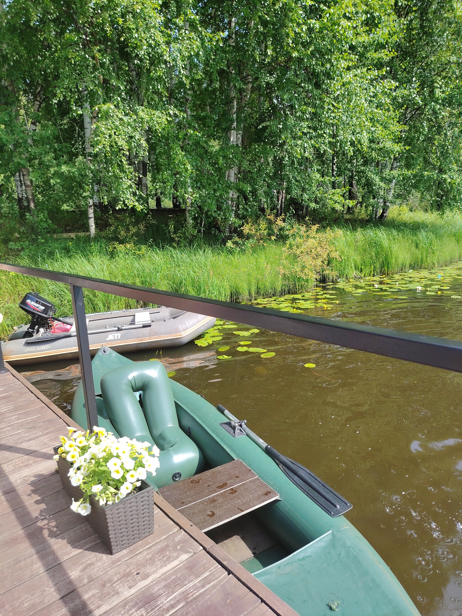 In Выльтыдор, Russia, on a sunny day, a tranquil scene unfolds by a body of water. A wooden dock extends into the water, where two inflatable boats are moored. The boat closer to the dock is green, with a paddle resting inside. The second boat, grey and larger, has a small outboard motor attached to its stern. The water is calm, dotted with lily pads, and a lush green bank lined with birch trees and tall grass borders the waterway. A dark railing runs along the edge of the dock, partially obscuring the view of the boats. A planter box filled with white flowers sits on the dock, adding a touch of color to the scene. The overall impression is one of peaceful coexistence between man-made structures and the natural environment.
