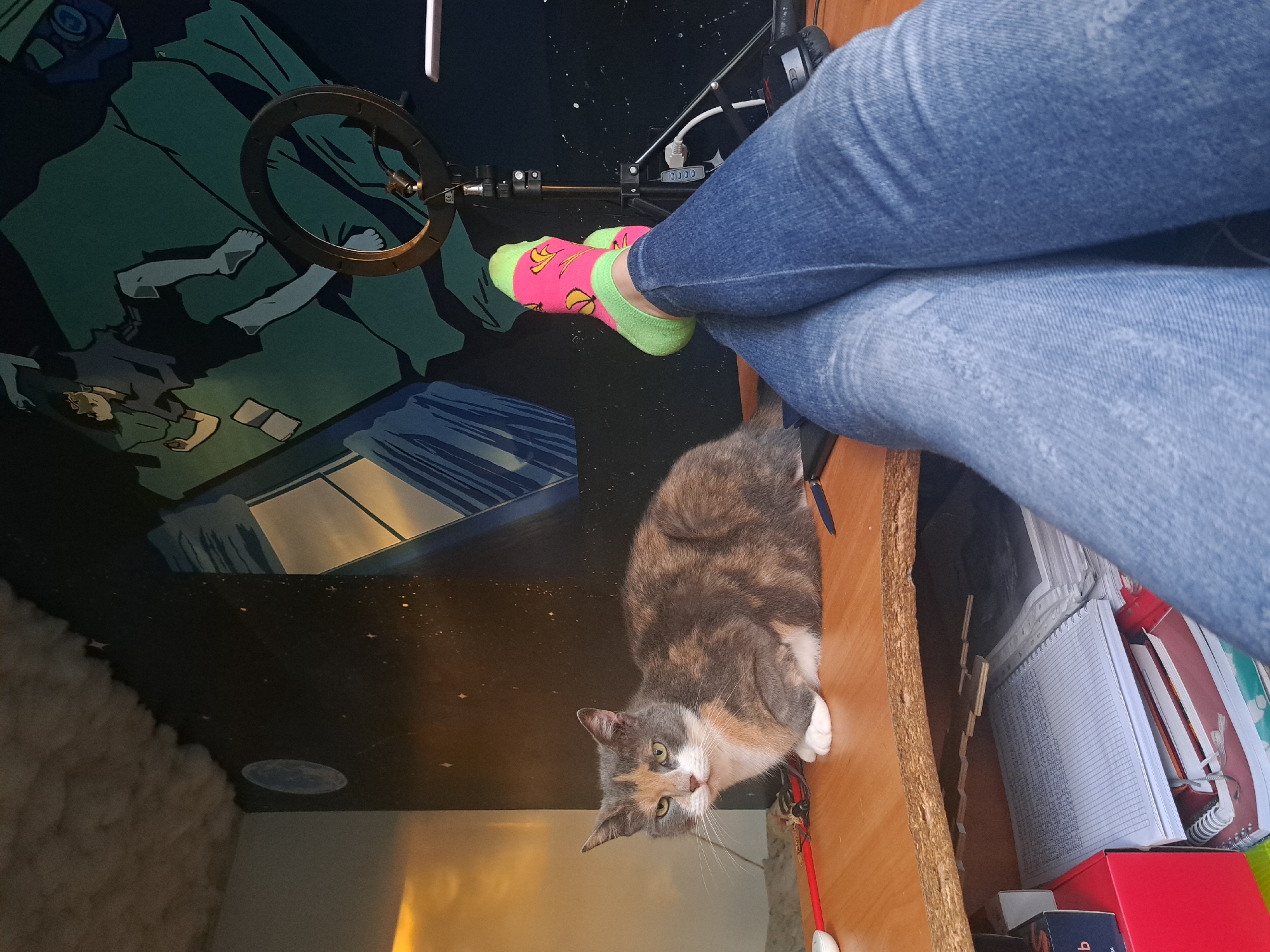 The image depicts a close-up view of a person's legs, clad in blue jeans and vibrant pink and green socks, crossed at the ankles. Their feet are resting on a wooden desk. A calico cat with grey, orange, and white fur is also present, sitting on the desk to the left of the person's legs. The background features a wall with a mural that appears to depict a stylized anime scene, with a character lying down and a ring light positioned in front of it. The overall impression is one of a casual, perhaps home office or creative space, with a playful and colorful aesthetic. The specific location in Riga, Latvia, is not discernible from the visual information provided.