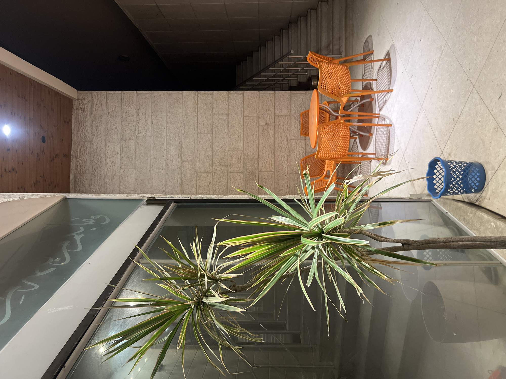 The image captures an outdoor seating area at night, likely in the city of Gaza, Palestinian Territories. In the foreground, two potted plants with spiky green and yellow leaves stand near a glass-fronted building, which features Arabic script etched onto the glass. To the right, a round orange table is surrounded by four orange plastic chairs. Beyond the seating area, a set of concrete stairs with a metal railing ascends into darkness. The ground is paved with light-colored tiles, and a blue plastic trash bin sits near the plants. The overall impression is one of a functional, albeit somewhat stark, public or commercial space.