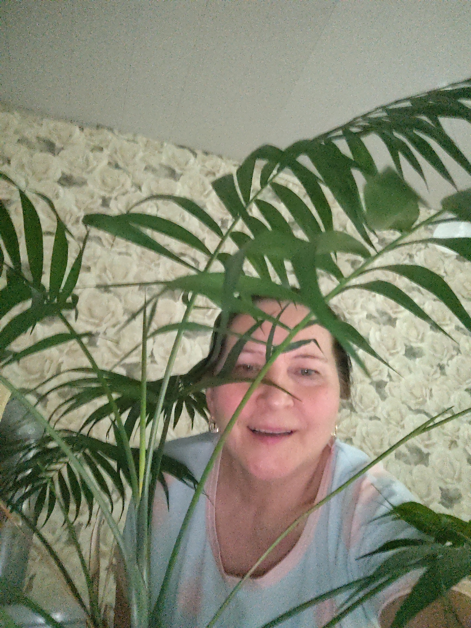 An indoor, upward-angled shot features a smiling woman partially obscured by the lush green fronds of a houseplant. The woman, appearing to be middle-aged, looks directly at the camera with a gentle smile. Her head and upper chest are visible, and she is wearing a light-colored (likely light blue or off-white) t-shirt with a pinkish trim around the neckline. Small, shiny earrings are visible on her earlobes.
Dominating the foreground and partially covering the woman's face and upper body are the fan-like leaves of a large, palm-like houseplant, possibly a parlor palm, with numerous vibrant green, elongated leaflets. The plant appears to be positioned in front of her, creating a playful, peeking effect.
The background reveals a wall covered in light-toned wallpaper, patterned with subtle, raised floral motifs, suggestive of roses, in shades of cream or beige. Above the wallpaper, a plain light-grey or white ceiling is visible. The overall impression is a casual, domestic setting in Сусады-Эбалак, Russia. There is no visible text in the image.