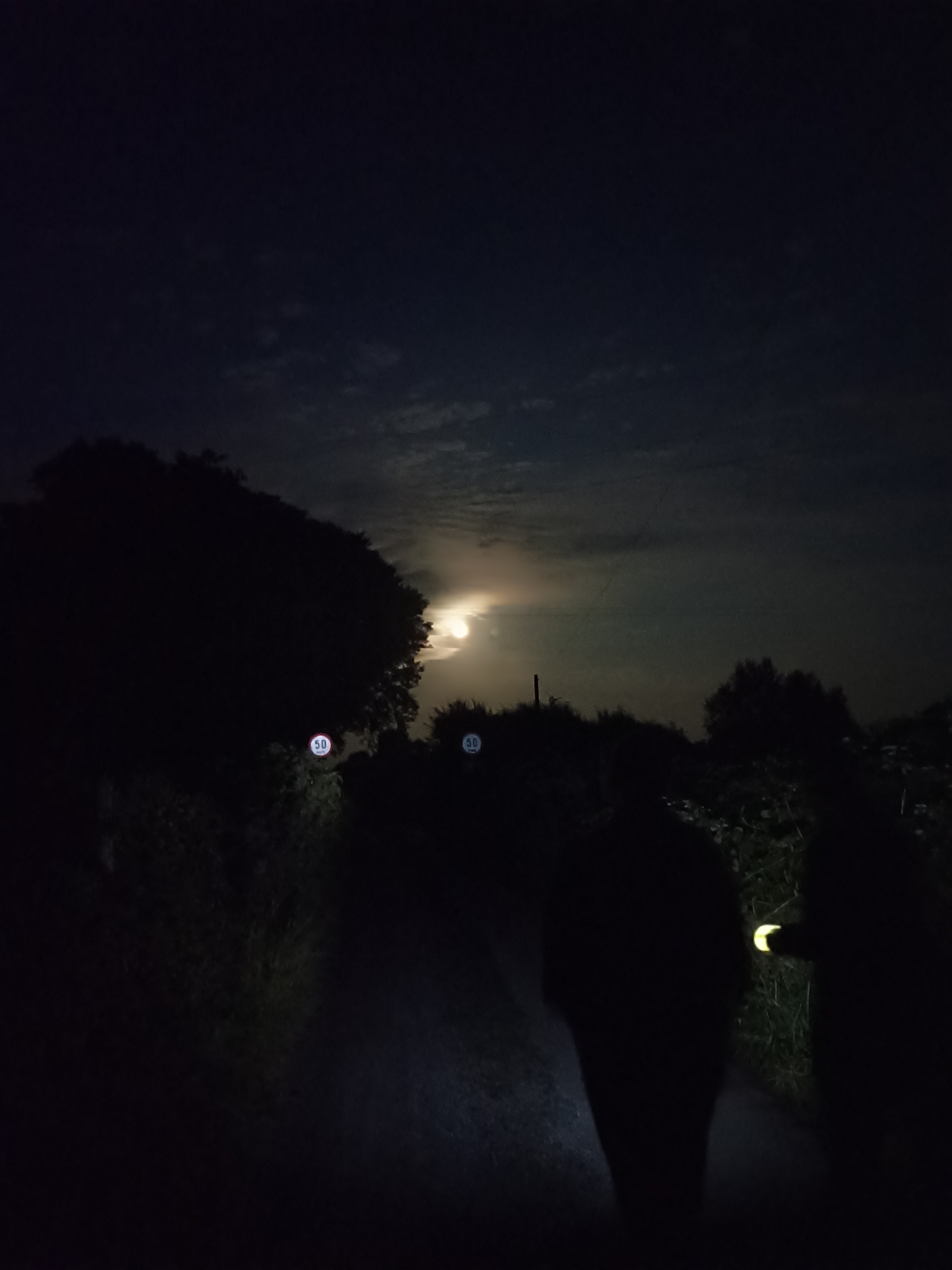 The image captures a nighttime scene on a narrow road, likely a rural setting, with dense vegetation flanking both sides. The sky is dark, with a prominent full moon partially obscured by clouds, casting a faint glow. The moon appears in the upper central portion of the image.
Two round traffic signs, each displaying the number "50" within a red circle on a white background, are visible on the left and center-left of the road, illuminated by an unseen light source. These are likely speed limit signs.
In the foreground, three silhouetted figures are present. The two figures on the right appear to be walking away from the viewer, with one holding a light source that casts a yellow glow on the ground and vegetation. The figure on the far left is a partial silhouette. The figures are indistinct due to the low light conditions and their dark clothing.
The road itself is unpaved or dimly lit, with shadows obscuring details. The overall impression is one of a nocturnal journey through a somewhat isolated area. The presence of speed limit signs suggests this is a public road. Based on local signage and landscape, this scene could be on the outskirts of Oughterard, County Galway, Ireland, possibly along a rural road leading out of the town towards the surrounding countryside.