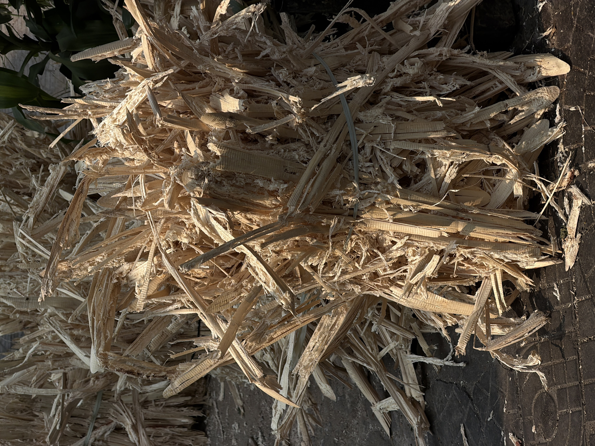 A bundle of light-colored, splintered wood shavings is piled on a dark gray tiled surface, possibly a sidewalk. The shavings are bound together with a gray wire. A green plant is partially visible in the background. The image appears to be taken outdoors during daylight. There is no indication of this being in Đà Nẵng, Vietnam.