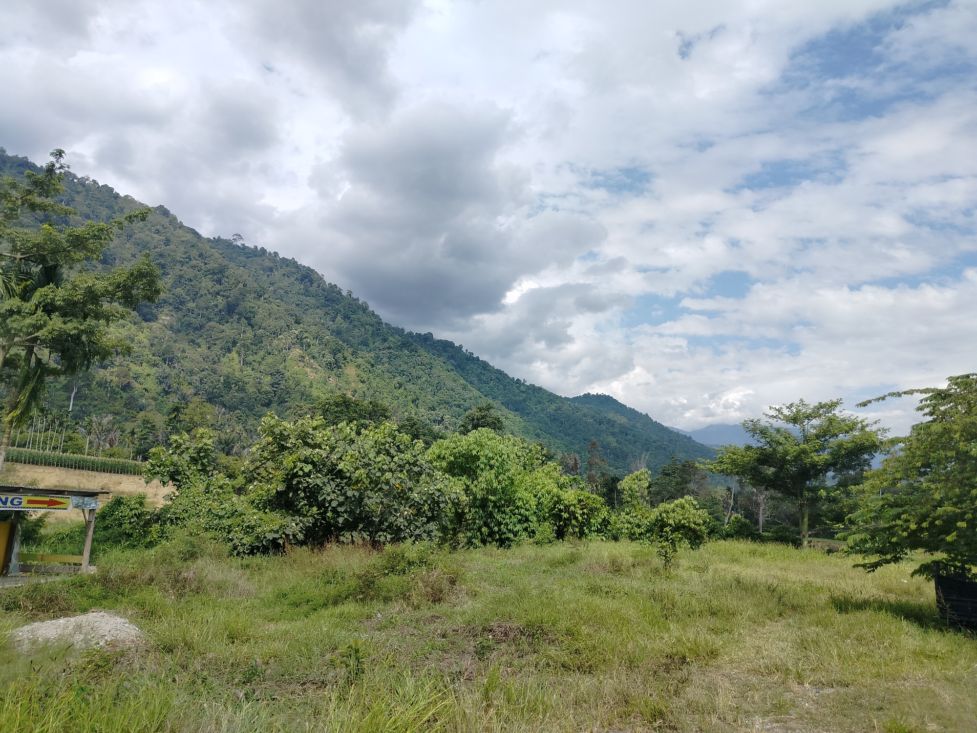 The image depicts a lush, green landscape with a prominent mountain covered in dense vegetation dominating the left side of the frame. The sky above is a mix of dramatic clouds and patches of blue, suggesting an overcast but bright day. In the foreground, a grassy field with scattered trees and shrubs stretches across the scene. On the far left, a yellow sign with a red arrow pointing to the right is partially visible, along with a structure that appears to be a roadside shelter or information booth. The overall impression is one of a natural, undeveloped area, possibly in a rural or semi-rural setting. The location is identified as Tegarmiko, Indonesia.