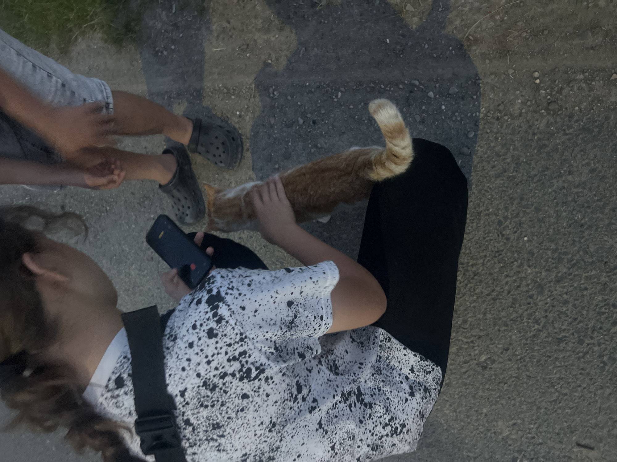 In Bârnova, Romania, an overhead shot captures a person in a white t-shirt with a black splatter pattern, kneeling and holding a dark smartphone. Next to them, an orange and white cat is being petted on its back by the person. Another individual, whose legs are visible from the knees down, stands nearby wearing grey denim shorts and black Crocs. The ground appears to be a rough, gravelly surface, indicative of an outdoor, possibly rural or semi-urban, setting. The lighting suggests it is either early morning or late evening, with shadows cast on the ground.