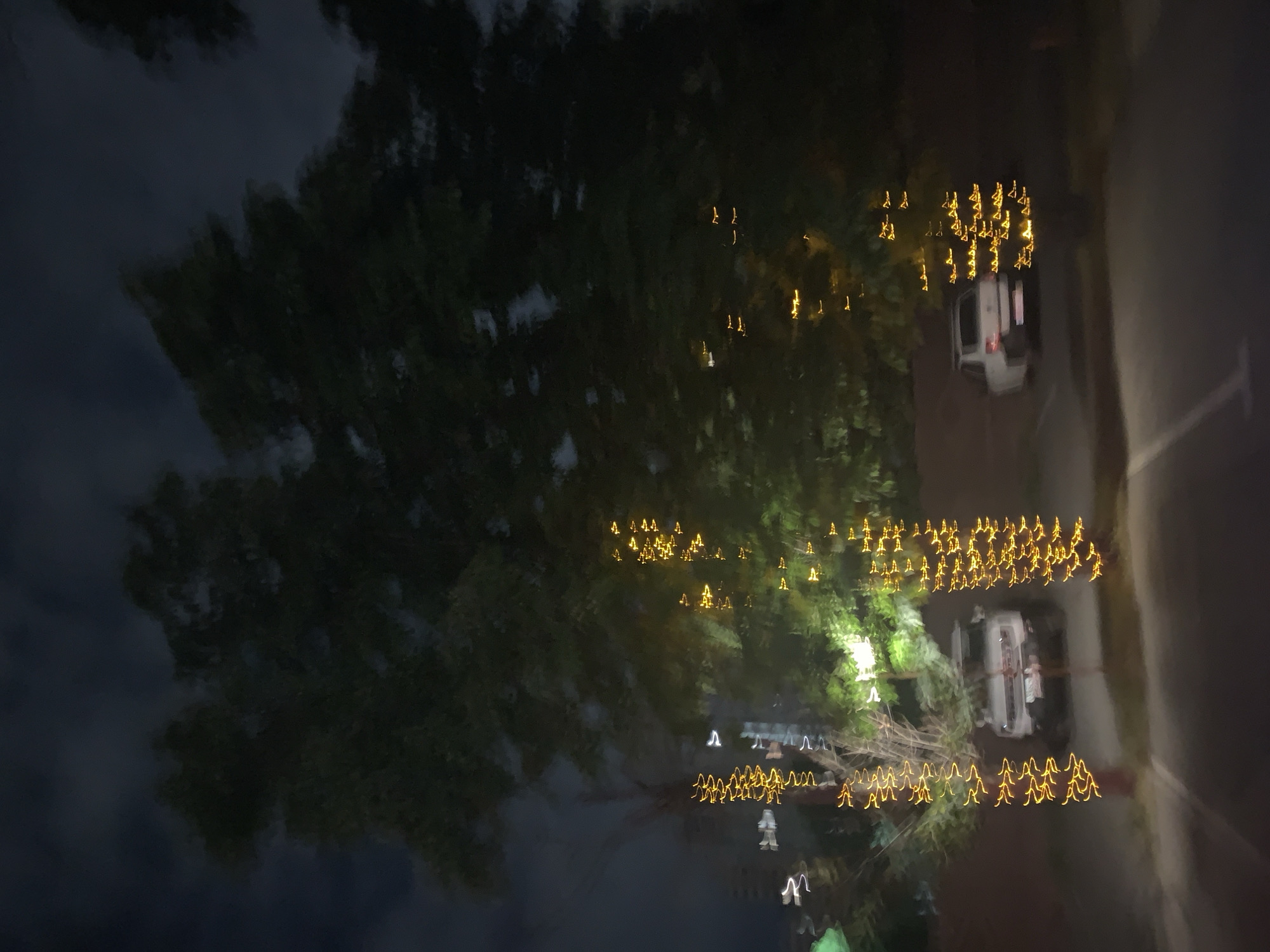 A blurry, nighttime photograph shows two trees wrapped in yellow string lights. A white SUV is parked between the trees on the left, and a white sedan is parked between the trees on the right. The background is dark with blurred foliage. The image appears to be taken in an urban setting.