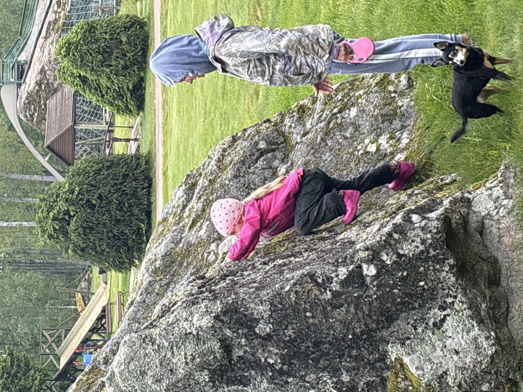 The image depicts two children and a dog on top of a large, gray rock formation in an outdoor setting. One child is crawling on the rock wearing a pink jacket, black pants, and a pink polka-dot hat. The other child is standing at the top of the rock, wearing a gray hooded jacket, light blue pants with a white stripe, and holding a pink object. A black dog stands beside the second child, appearing to jump off the rock. The background includes green grass, trees, and a playground structure. The location appears to be a park in an unknown city.
