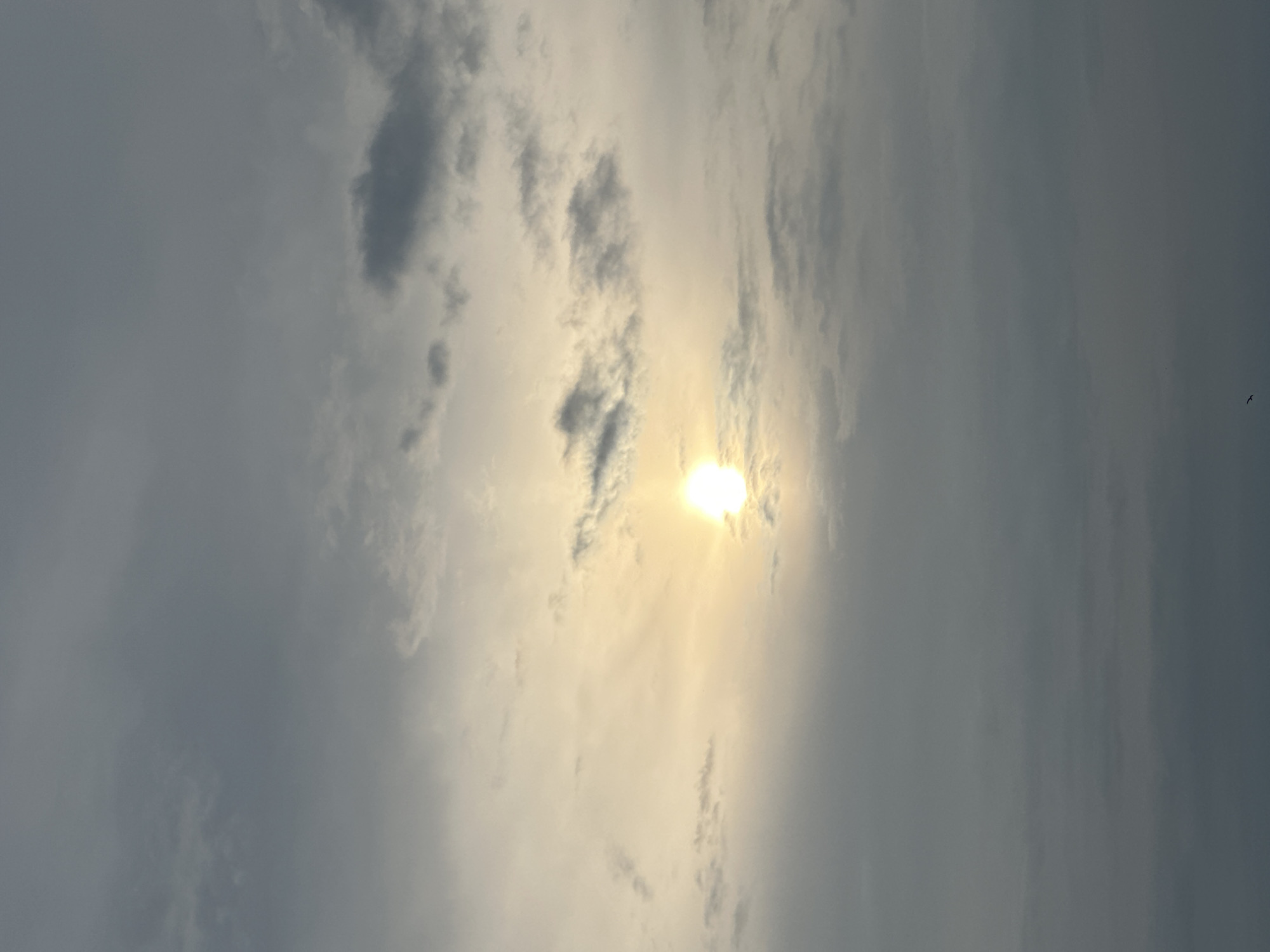 The image captures a daytime sky over Chaikovsky, Russia, dominated by clouds and a brilliant sun. The sun, a radiant white-yellow orb, is intensely bright and centrally positioned, appearing to break through a scattering of lighter, more translucent clouds. Its powerful illumination casts a warm, soft glow, creating sun rays that stretch across the surrounding sky. Darker, denser grey clouds frame the scene, particularly prominent in the upper left and lower right sections, indicating a partly cloudy or overcast sky. A very small, dark bird is visible in flight in the far upper right corner of the sky, adding a subtle element of life to the vast aerial landscape. The weather is characterized by significant cloud cover with direct sunlight penetrating through. No text is visible in the image.