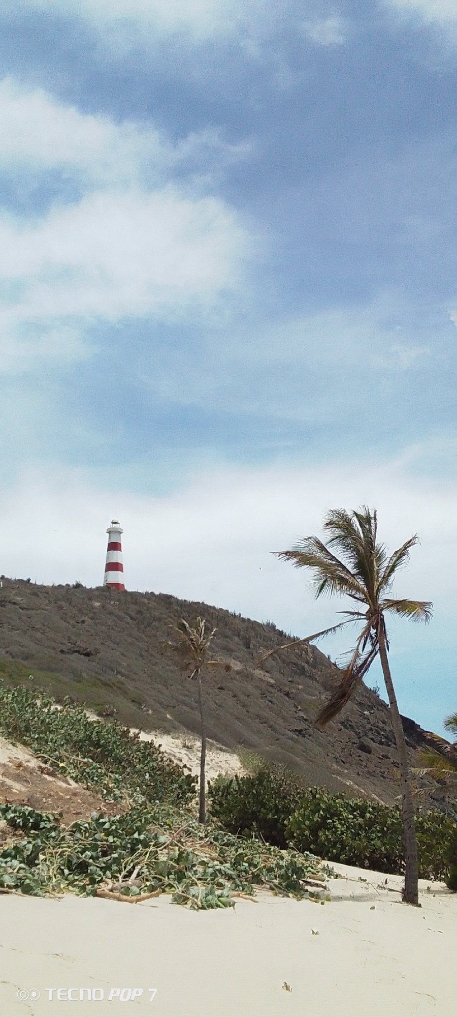 The image depicts a coastal scene in Pedro González, Venezuela, featuring a red and white striped lighthouse atop a hill. In the foreground, a sandy beach is visible, with scattered vegetation. Two palm trees stand between the beach and the hill. The sky is pale blue with scattered white clouds. The hill slopes downward from the lighthouse towards the right side of the frame.