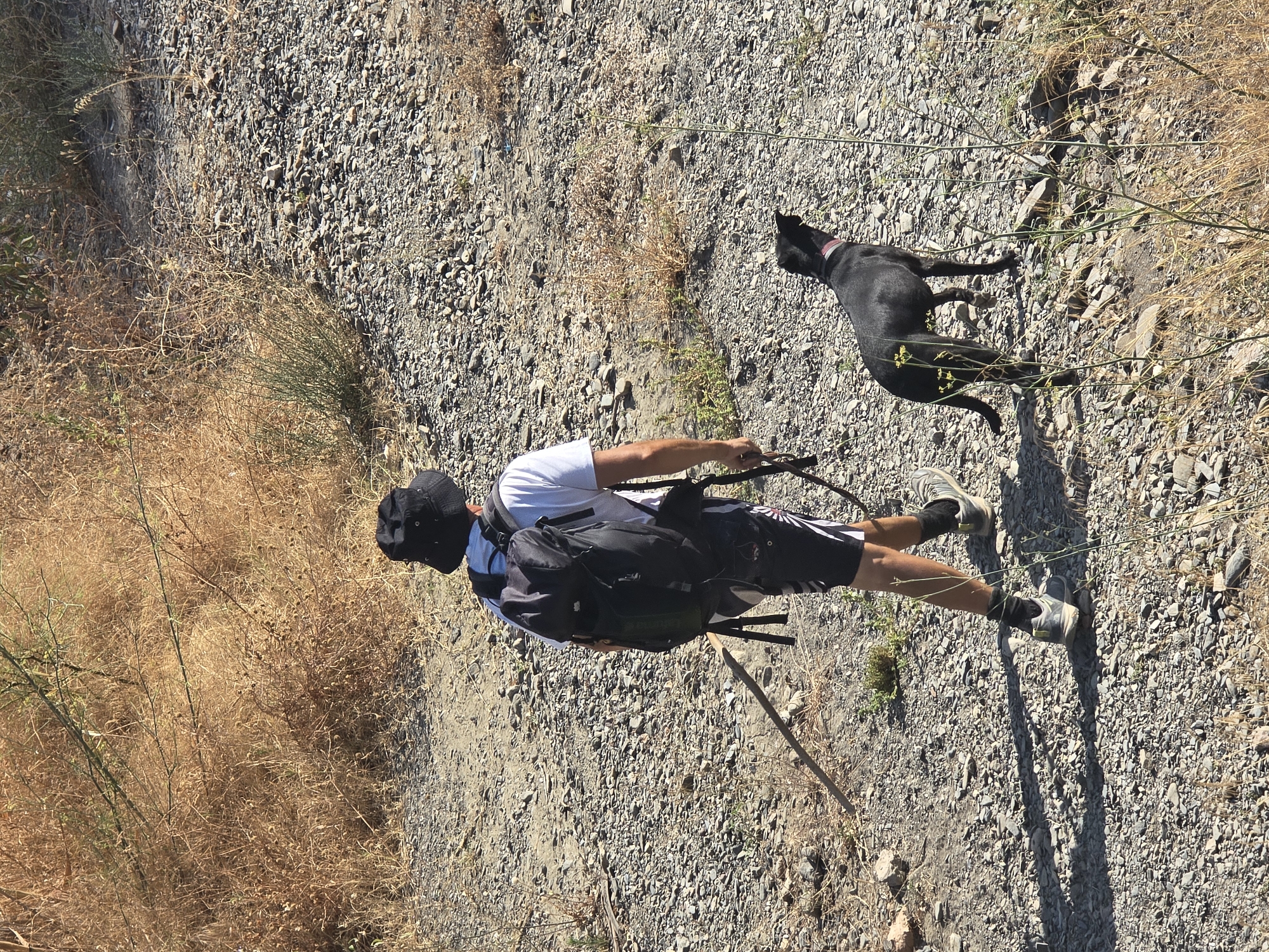 A person wearing a black hat, white t-shirt, black shorts, gray athletic shoes, and black socks walks on a rocky, dry terrain. The person carries a black backpack and holds a walking stick in their right hand. A black dog with a pink collar walks beside the person on a leash. The environment is arid with dry, brown vegetation and scattered rocks. The scene appears to be outdoors, possibly a hiking trail. The location is not identifiable within the city of Málaga, Spain from the provided image.