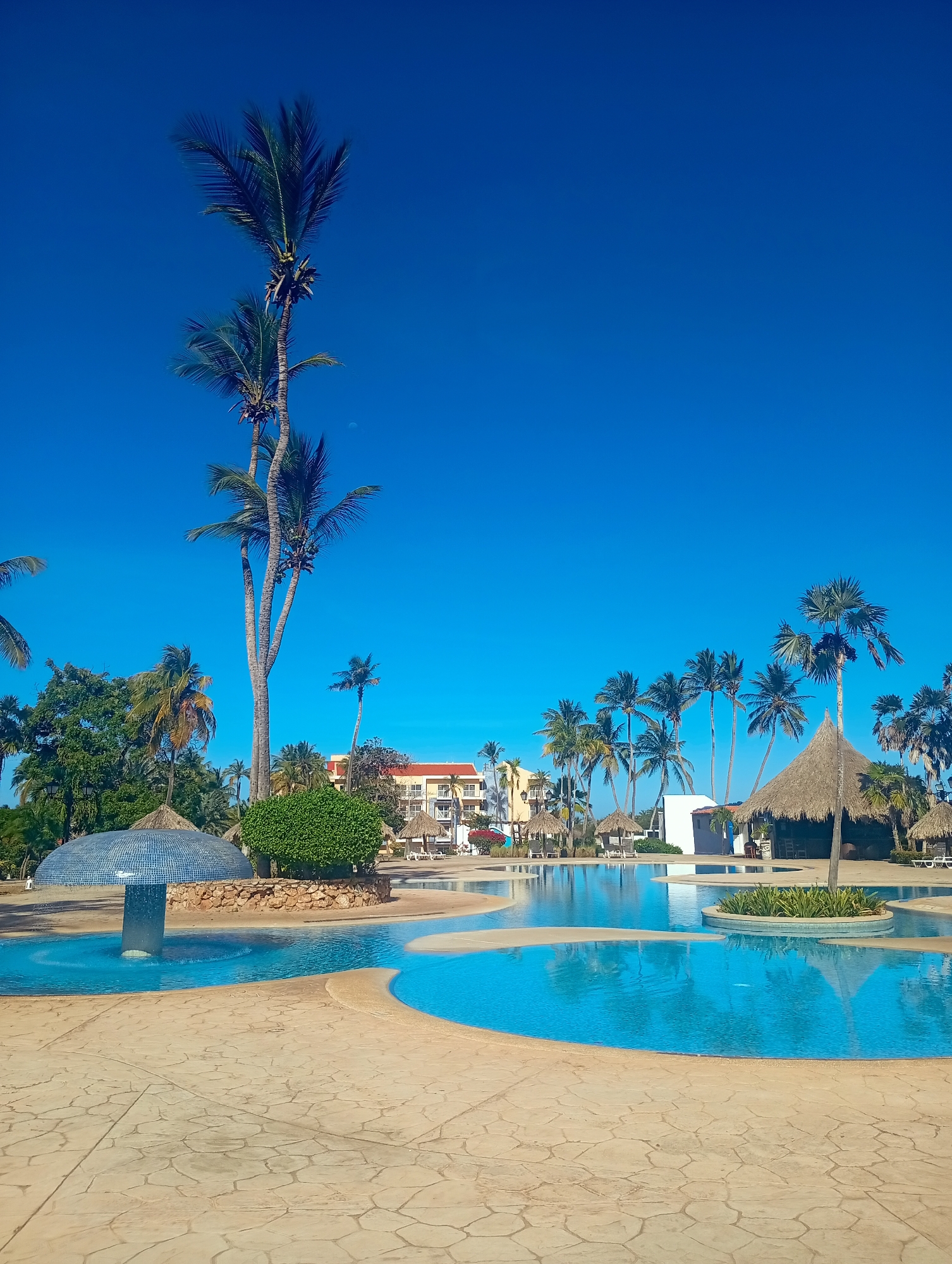 The image displays an outdoor resort swimming pool area in Playa El Agua, Venezuela, under a clear, deep blue sky where a faint, circular moon is visible in the upper mid-left. The foreground is dominated by a light-colored, irregularly patterned paved deck surrounding an expansive, multi-sectioned swimming pool with light blue water. On the left, a mushroom-shaped water feature with a blue mosaic tiled dome rises from a circular pool section, appearing to cascade water into the pool. A small, circular island with dense green foliage is situated in another pool section on the right.
Numerous tall palm trees, characterized by green fronds and visible trunks, some bearing clusters of fruit, are distributed across the midground and background. In the distance, multi-story resort buildings with light-colored facades and orange-tiled roofs are discernible amidst the vegetation. Several thatched-roof palapa-style structures are present, including a larger one on the right side of the pool, possibly serving as a bar, and smaller ones offering shade around the pool's periphery. No individuals or animals are visible within the scene. The area is illuminated by bright, direct sunlight.