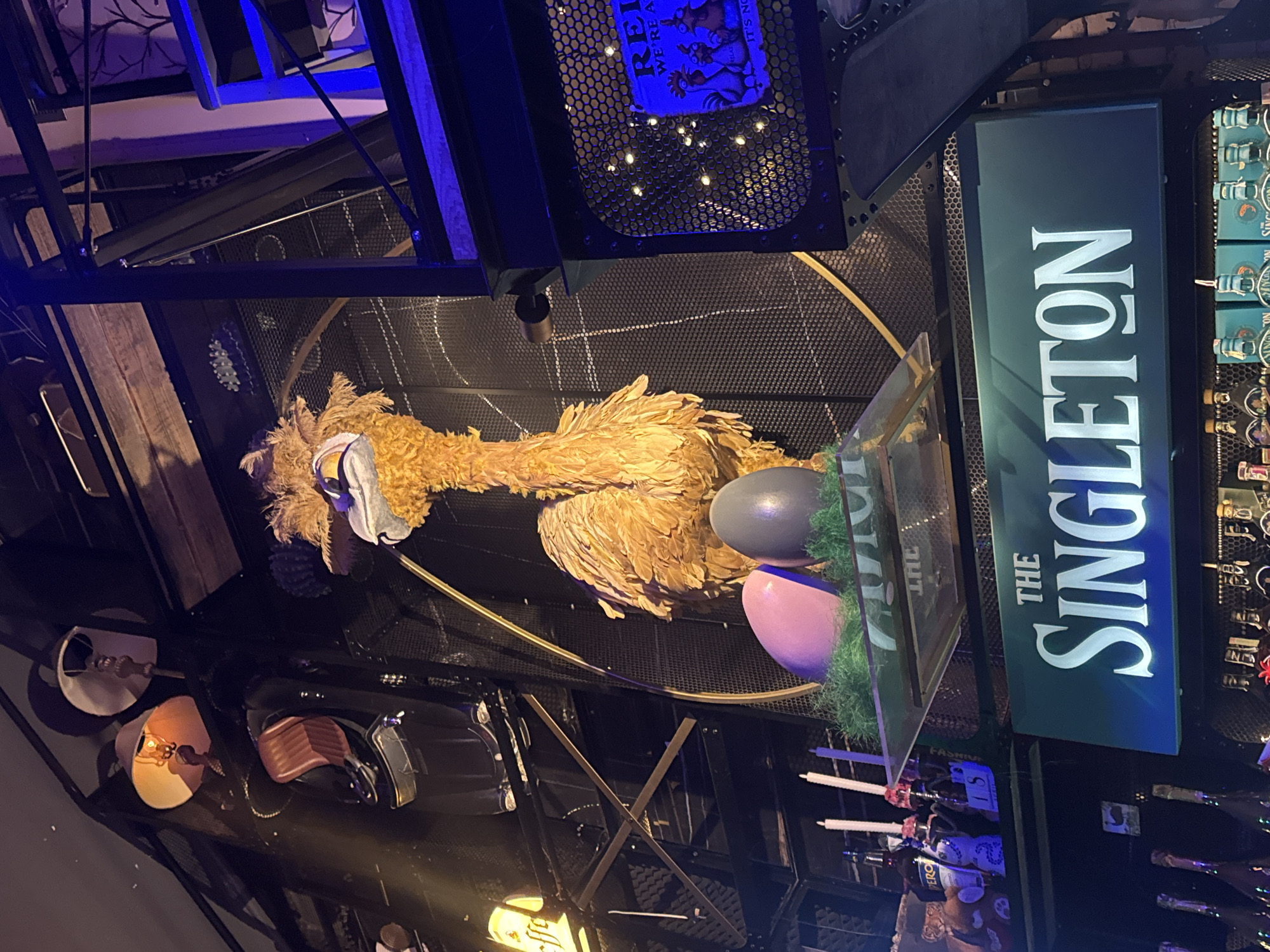 The image depicts an indoor installation, likely at a bar or event space in Plovdiv, Bulgaria. A large, feathery, bird-like sculpture with a mask rests beside two large eggs in a glass case. A sign reads "THE SINGLETON" in vertical letters. The structure is surrounded by a metal grid and illuminated by various light sources, including blue lights and fairy lights in an upper section. Below and to the left are reflective surfaces showing light fixtures and seating elements. Liquor bottles and decorative items are visible in the lower right of the scene.