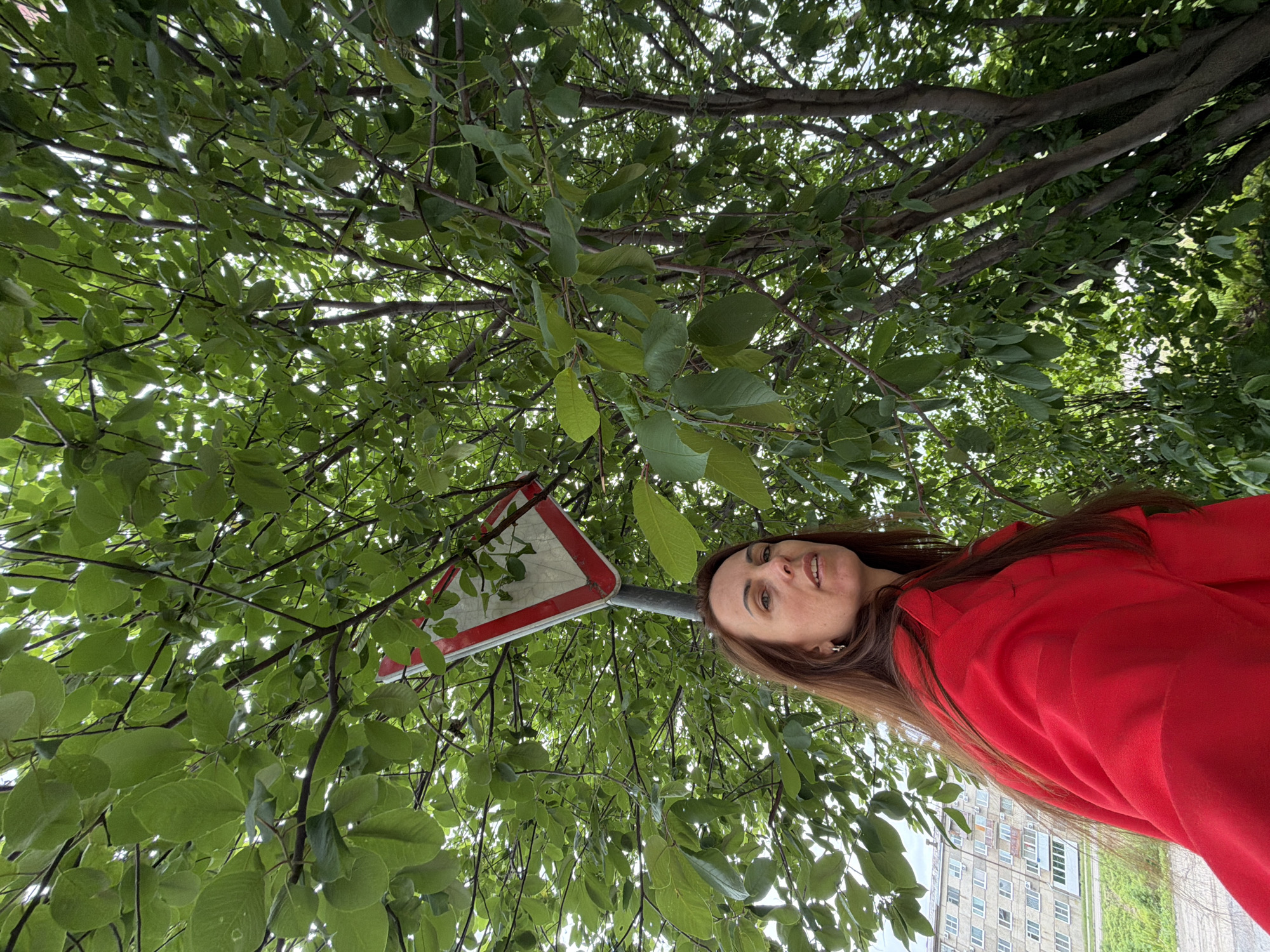 The image presents an outdoor, low-angle perspective of an adult woman in a green urban environment in Birobidzhan, Russia. In the lower-left foreground, a woman with long, straight, reddish-brown hair and light-colored eyes looks directly at the camera. She is wearing a bright red long-sleeved top, possibly a jacket or coat, and a small silver hoop earring is visible in her left ear. Her mouth is slightly open, and her expression is neutral.
Dominating the upper and right portions of the frame is a dense canopy of vibrant green deciduous leaves and dark tree branches, viewed from below against an overcast sky, suggesting diffused natural light. A weathered triangular road sign, featuring a red border and a white interior with some discoloration, is visible behind and above the woman's head, partially obscured by the foliage, and is mounted on a grey pole. In the distant left background, several multi-story, light-colored residential apartment buildings, characteristic of Soviet-era architecture with numerous windows and balconies, are visible. A strip of green ground separates these buildings from the immediate foreground.