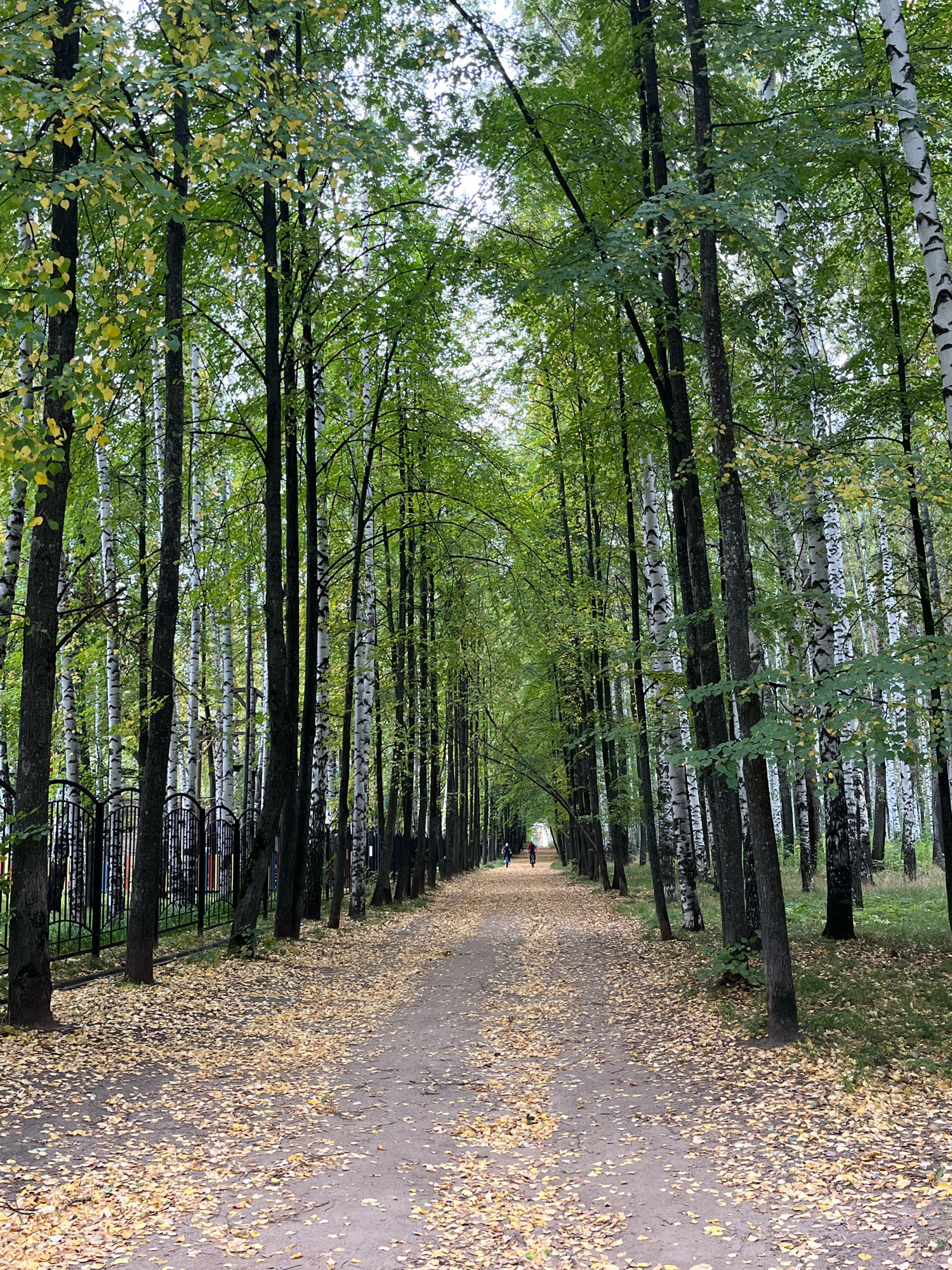 The image depicts a park pathway lined with tall trees, predominantly birch and deciduous varieties exhibiting early autumn colors. The pathway is covered in a carpet of fallen yellow leaves. In the distance, two individuals are visible, one on a bicycle and another walking or running. A black decorative fence runs along the left side of the pathway. The scene suggests a tranquil park setting in Chaikovsky, Russia, likely during the autumn season.