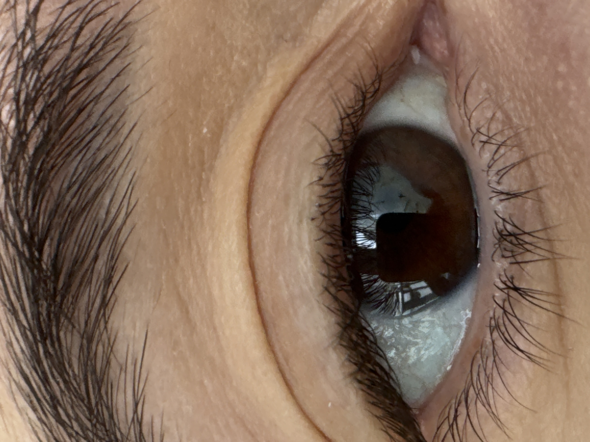 The image displays a forensic close-up of a human right eye. The subject possesses a light to medium skin tone, revealing fine lines on the upper eyelid and surrounding periorbital area, along with visible pores. A dark, dense eyebrow is partially visible across the top of the frame. The eye features a dark brown iris and a visible white sclera. Both the upper and lower eyelids are lined with dark, prominent eyelashes. Within the dark brown iris, a distinct, dark, rectangular reflection is present, likely originating from the camera or a device held by the photographer. Surrounding this primary reflection, lighter, irregular shapes are discernible, indicating an ambient light source and indistinct elements of an indoor environment. No other individuals, objects, or actions are depicted. The specific location within the city of Chaikovsky, Russia, cannot be determined from the visual evidence presented in this image.