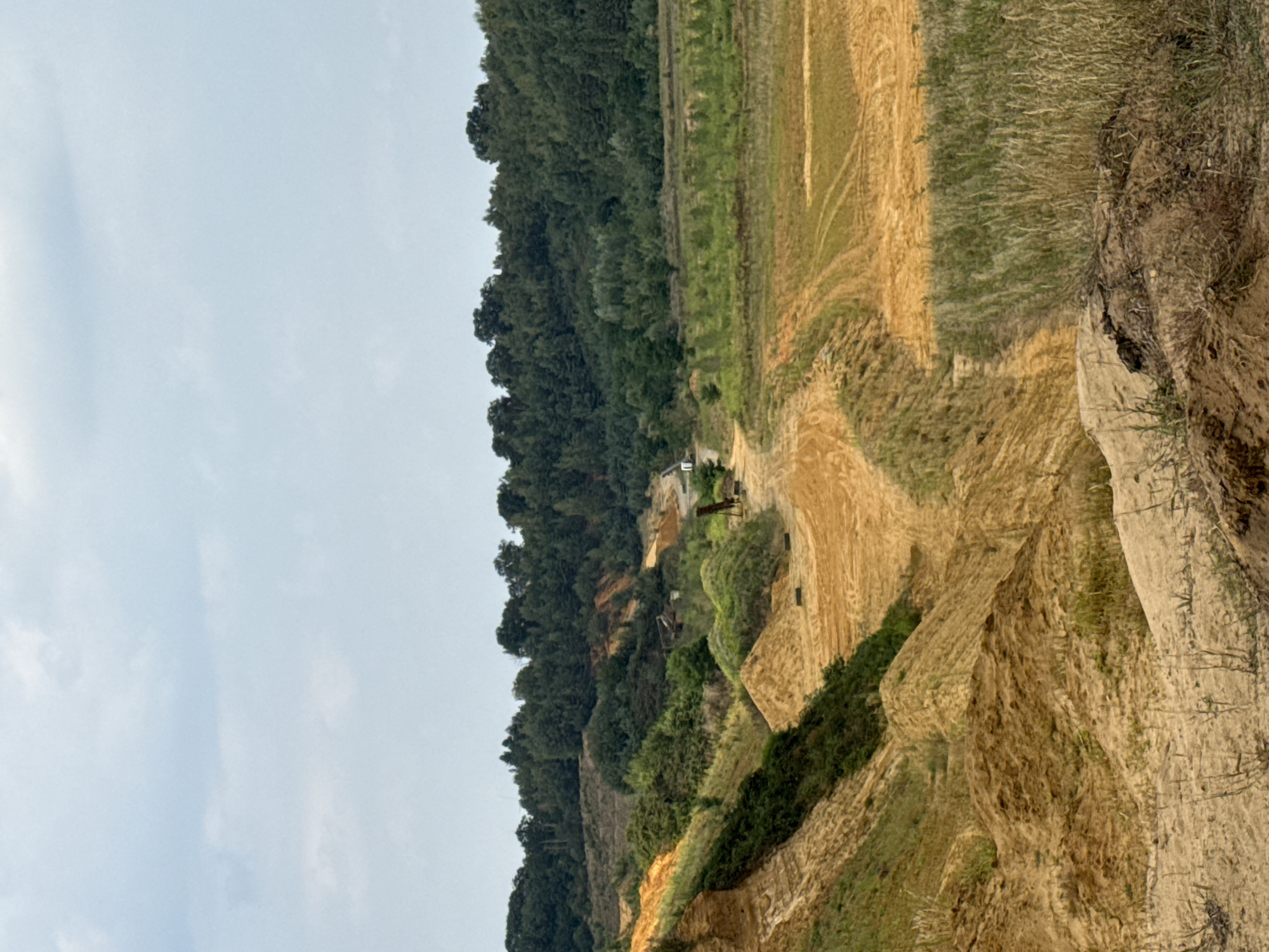 This image depicts a barren, sandy landscape with scattered green vegetation and a dense forest in the background. The terrain is characterized by steep, eroded sand dunes and flat, tilled fields. There are no people or animals visible in the frame. The scene appears to be an open-pit mine or a construction site, possibly a former sand quarry. The sky is overcast, suggesting a cloudy day. In the distance, a small white building is partially visible. This location is likely a nature reserve or a designated area for resource extraction within the city of Dorsten, Germany.
