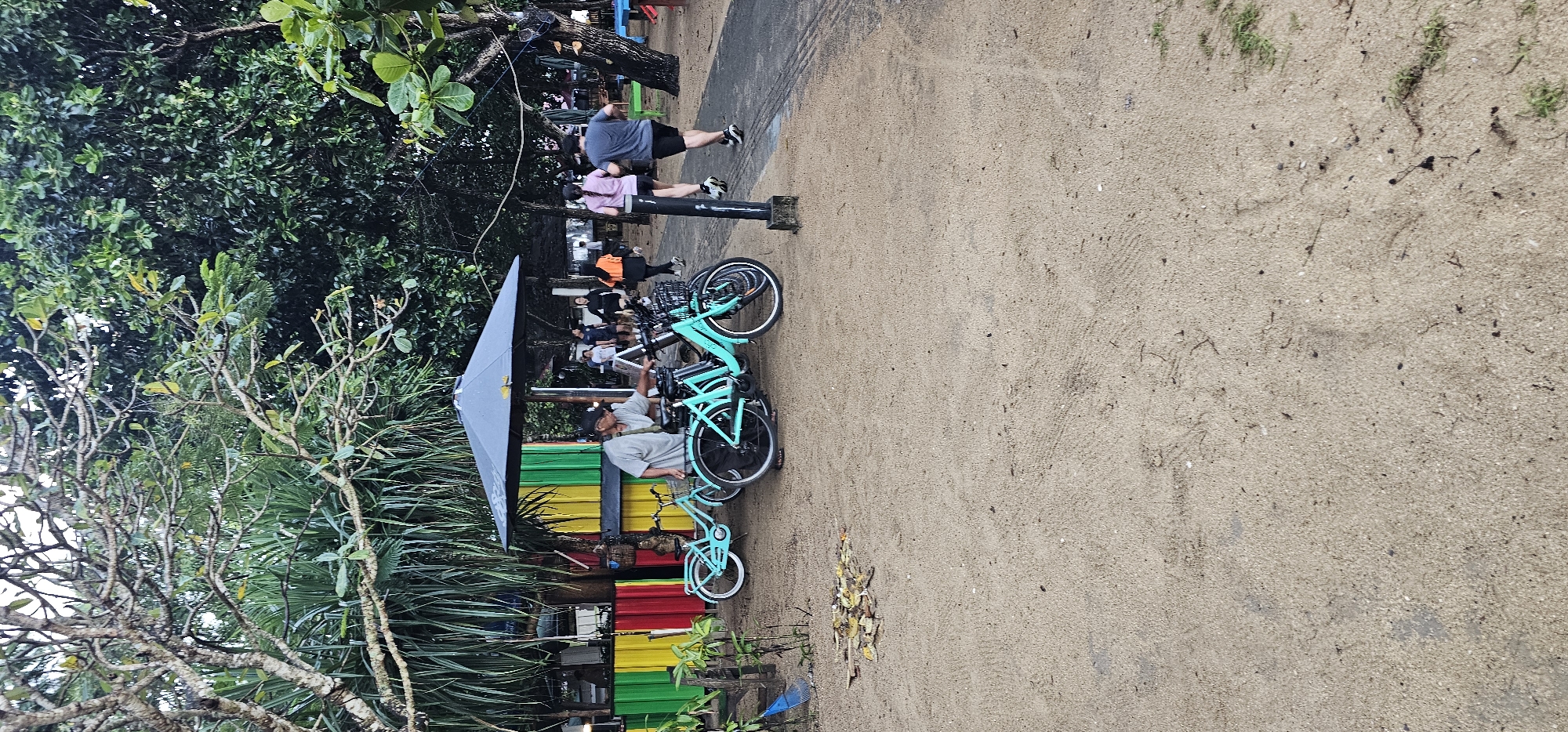 The image captures a scene near a beach in Denpasar, Indonesia. A small, colorful structure with a gray umbrella stands near a sandy area, housing a bicycle rental business with several light-blue bicycles parked beside it. A man in a gray shirt and cap is standing within the structure, possibly attending to the bicycles.
In the background, people are walking on a path, and trees and foliage are visible on the left side of the image. The path is adjacent to the sandy area, suggesting a beachfront location. The scene is captured in daylight, with an open-air environment characteristic of a beach setting.