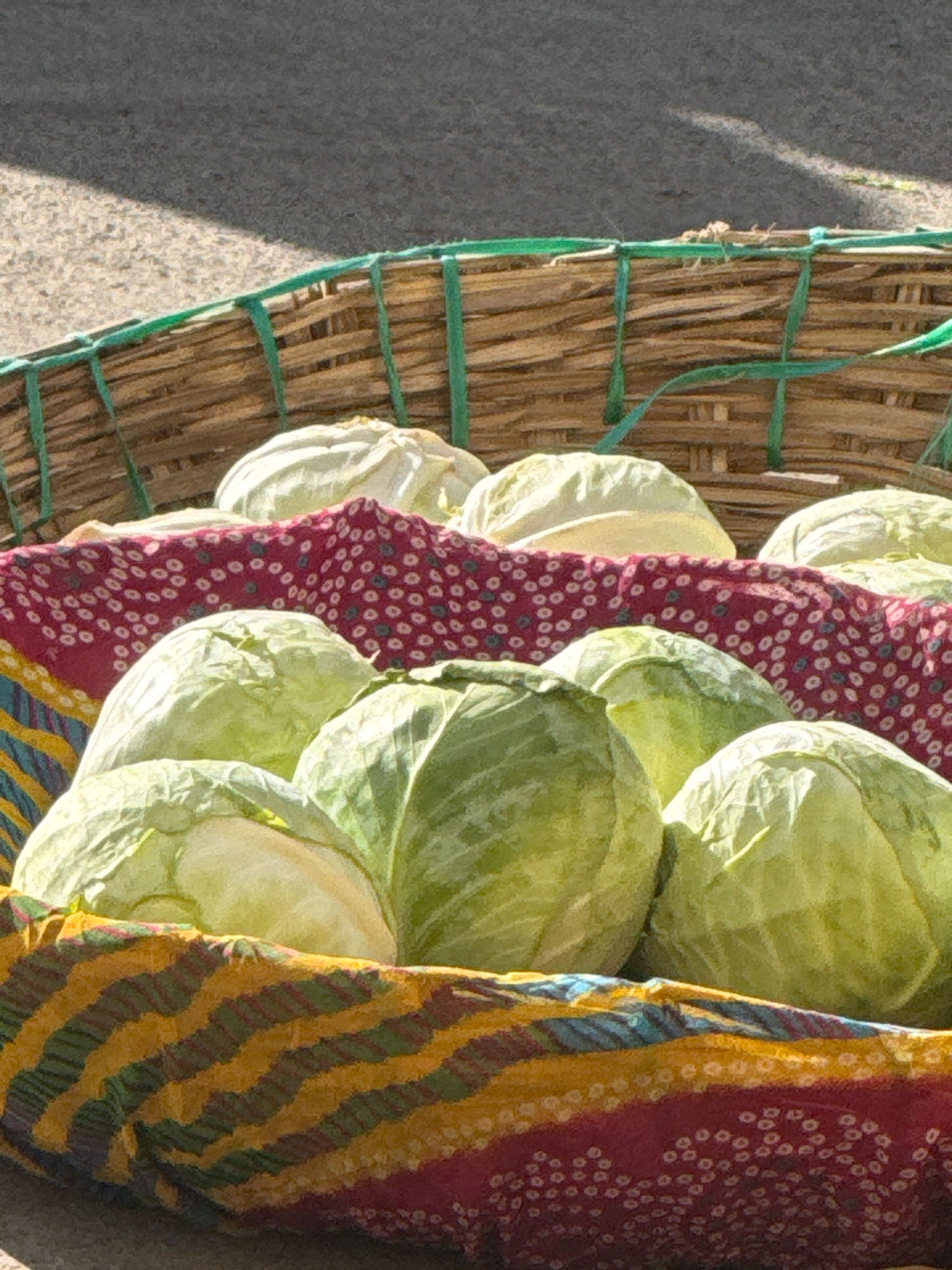 In Vijayapura, India, a woven basket overflows with freshly harvested cabbages. The basket, bound with green twine, rests on a colorful patterned cloth that drapes over its edge. The cloth is a vibrant display of red, yellow, and green stripes, interspersed with a delicate white polka-dot pattern. Sunlight casts dappled shadows across the scene, highlighting the round forms of the cabbages and the textured weave of the basket. The background is a mix of rough, grey asphalt and what appears to be a dirt or gravel surface, suggesting an outdoor market or roadside stall. The image captures a moment of everyday commerce, showcasing the bounty of the local produce.