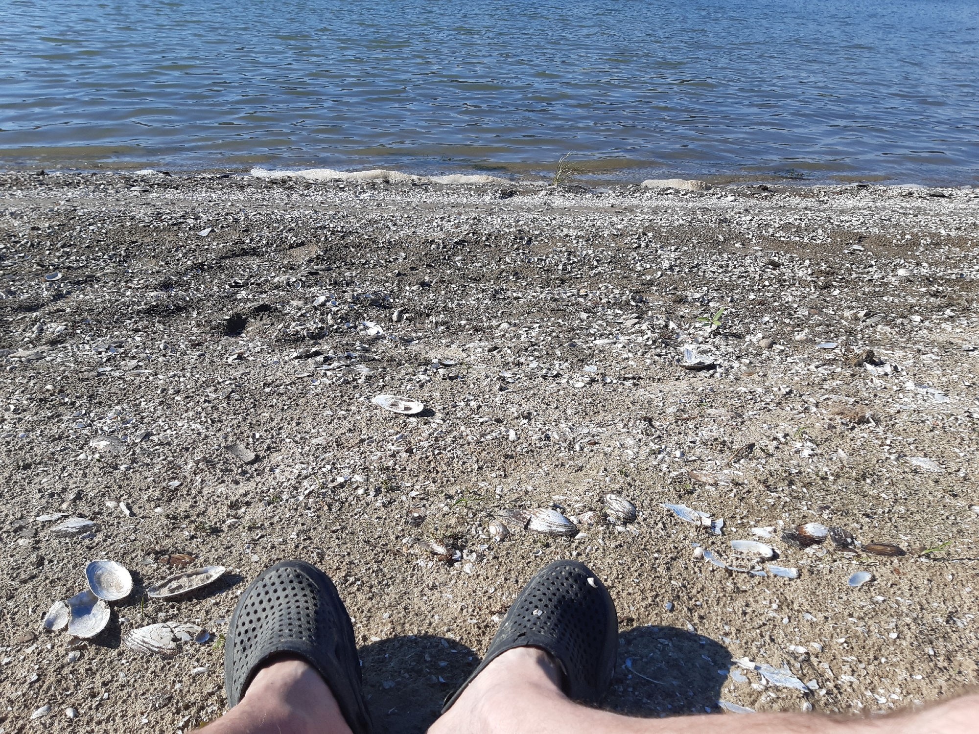 This media file shows a close-up, ground-level view of a beach on a sunny day. The foreground features a person's legs and feet wearing black, perforated slip-on shoes, suggesting a casual, outdoor setting. The ground is covered in sand and a multitude of small, broken shells, characteristic of a shoreline. Several larger, intact shells are scattered amongst the smaller pieces.
Beyond the beach, the calm, blue water of a lake or sea stretches to the horizon, its surface rippled by a gentle breeze. The line where the water meets the shore is marked by a thin layer of foamy white wash. A few blades of green grass are visible emerging from the sand near the water's edge, indicating a natural environment.
The lighting suggests it is daytime, with the sun casting shadows from the person's feet. The overall scene evokes a sense of relaxation and tranquility, with the person seemingly enjoying a peaceful moment by the water. The location is identified as Sokil, Ukraine. No visible text is present in the image.