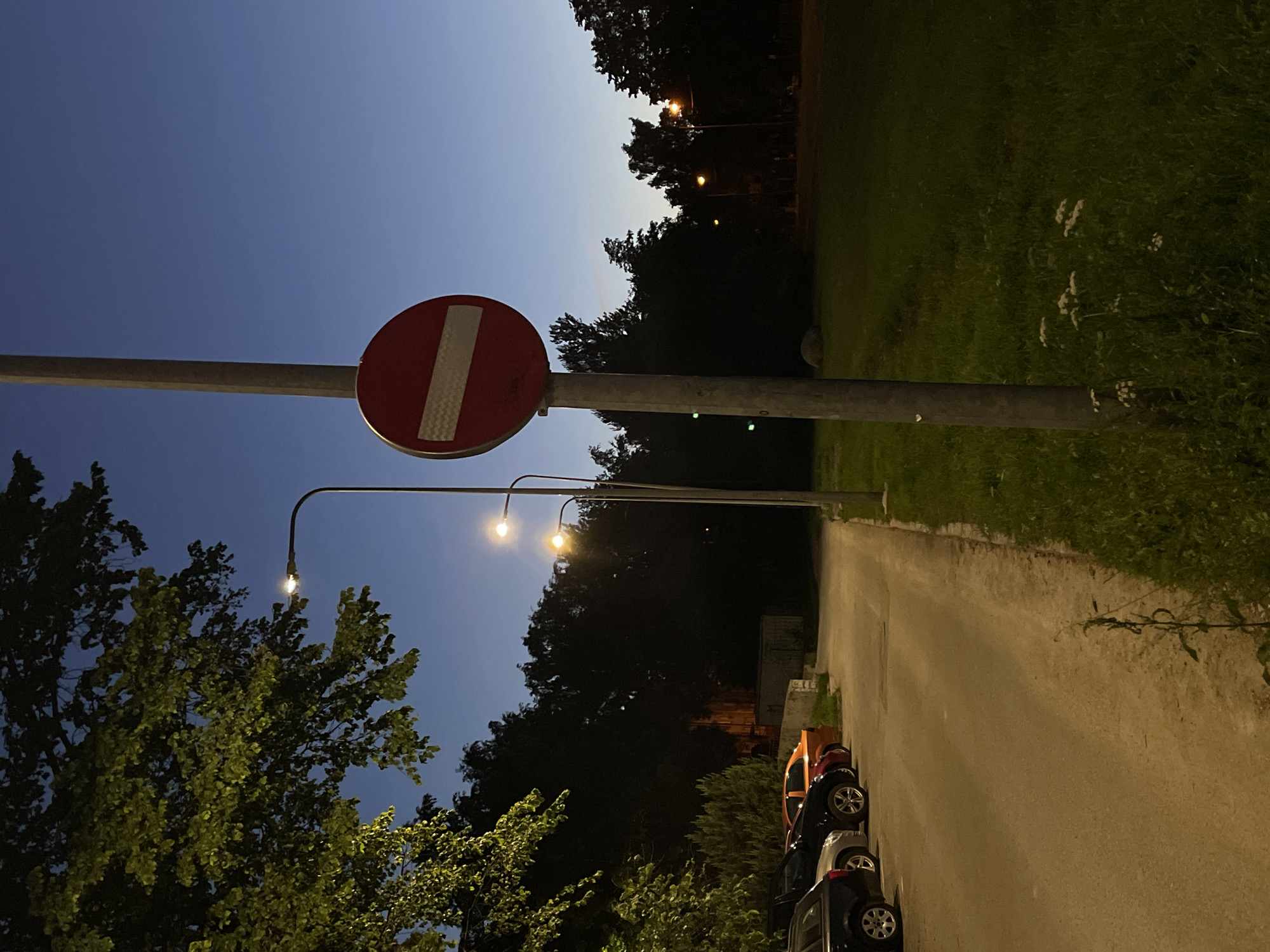 A "Do Not Enter" traffic sign, a red circle with a white horizontal bar, is mounted on a grey pole in the foreground of the image. The sign is illuminated by artificial light, creating a subtle glow. Behind the sign, a row of parked cars lines a paved pathway, which curves to the left. These vehicles include a black sedan, a silver hatchback, another black sedan, a red sedan, and an orange hatchback. A large, leafy tree with its branches extending into the upper left corner of the frame casts dappled shadows. Streetlights, emitting a warm yellow glow, are visible along the pathway and in the distance, illuminating the scene against a darkening blue sky. The background is filled with dense trees, suggesting a park or wooded area adjacent to the parking lot. The ground is covered with grass and some wildflowers. The overall scene appears to be a quiet evening in a residential or park area. Given the presence of specific European style traffic signs and the general urban landscape, this image could be from Tallinn, Estonia, a city known for its blend of historic and modern architecture, often featuring green spaces within its urban fabric.