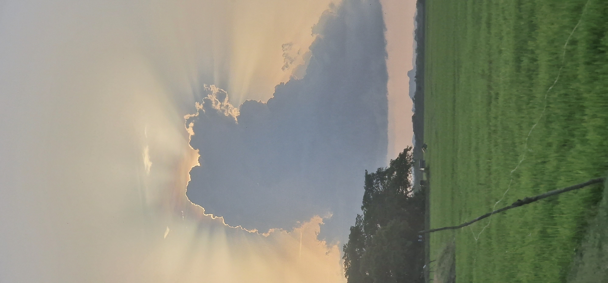 The image shows a rural landscape at sunset or sunrise. In the foreground is a lush, green field, possibly rice paddies. A dark, weathered wooden post or branch extends horizontally across the lower right section of the frame. A line of trees, silhouetted in the fading light, separates the field from the sky. The sky is dominated by a large, grey cloud formation that is partially backlit by the sun, creating dramatic rays of light. The overall color palette includes shades of green, grey, blue, and golden light. The photograph depicts an outdoor scene in a natural setting, presumably in the Pottuvil area of Sri Lanka.