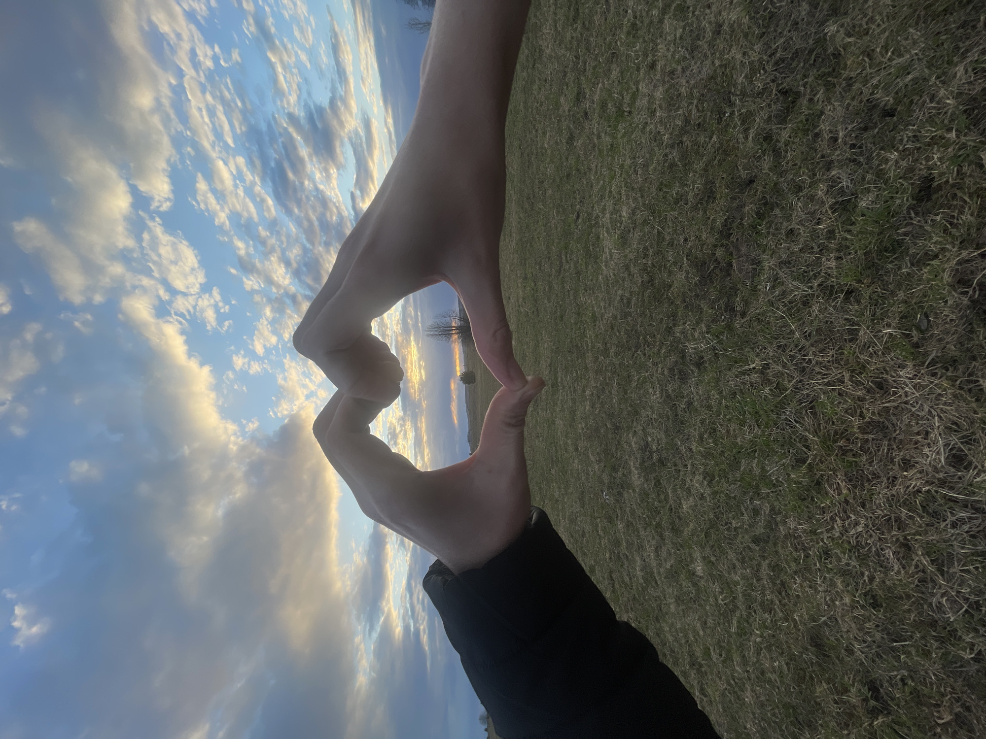 An outdoor photograph captures two hands forming a heart shape, silhouetted against a radiant sky. One hand is bare, while the other's forearm is covered by a black jacket sleeve. Through the heart-shaped opening, a distant landscape is visible, featuring a bare tree on the horizon, bathed in the soft light of the setting or rising sun.
The background consists of a vast, partially cloudy sky, transitioning from bright blue to warm golden and orange tones near the horizon. Scattered clouds, possibly stratocumulus or altocumulus, are illuminated by the indirect light. The lower and right portion of the image shows a field covered in a mix of green and dry grass. The bare trees suggest the season is either late autumn, winter, or early spring.
The heart gesture symbolizes love, affection, or a moment of connection and appreciation for the natural beauty. The overall mood is peaceful and serene. No text is visible in the image. This scene is set in Kuyeda, Russia.
