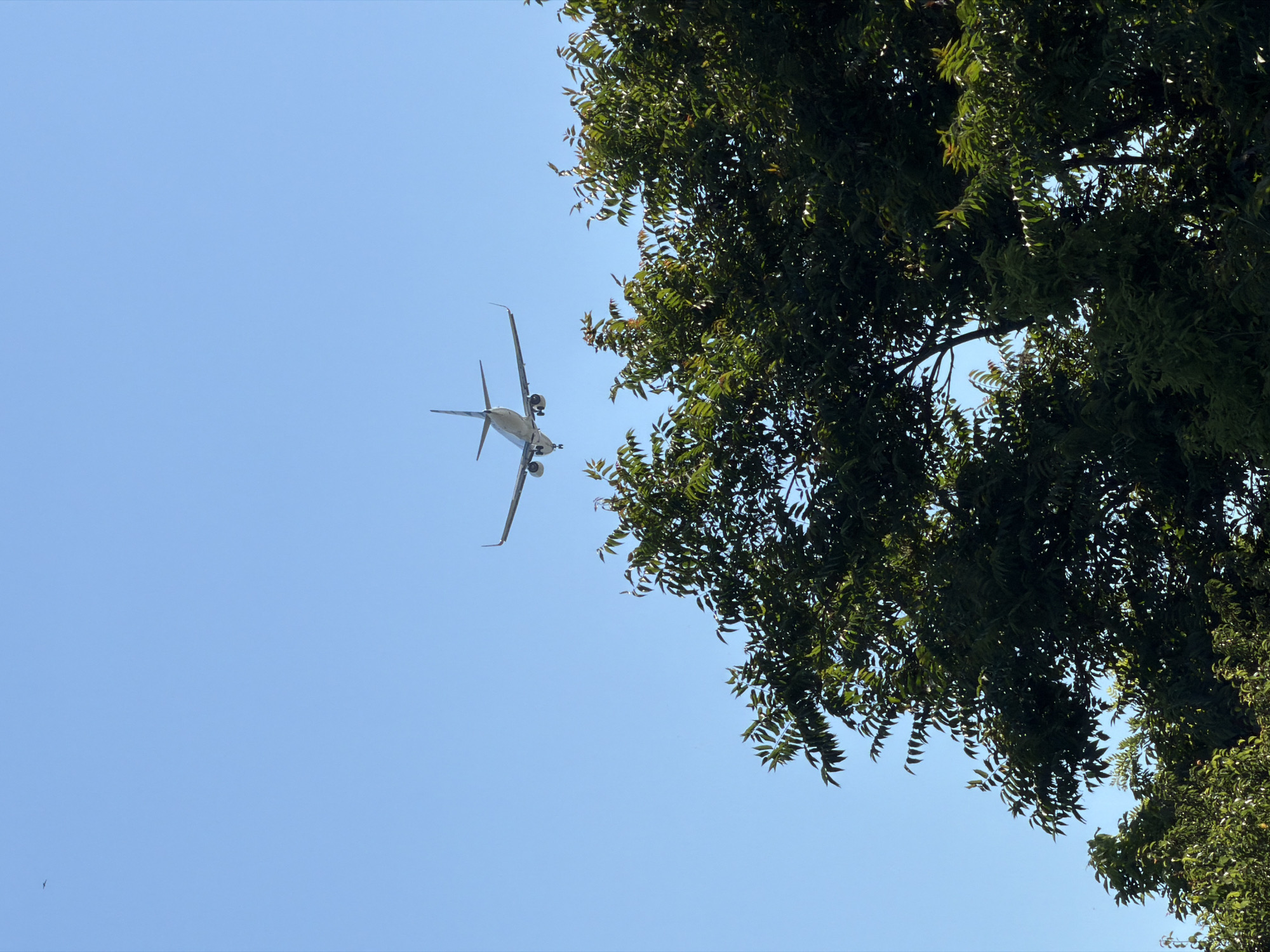 An airplane is flying in the clear blue sky over Burgas, Bulgaria. The plane is seen from behind and above, with its landing gear down, suggesting it is approaching for landing. Lush green trees fill the bottom portion of the frame, obscuring the ground and any potential cityscape. The image captures a moment of aerial transit above the city's natural landscape.