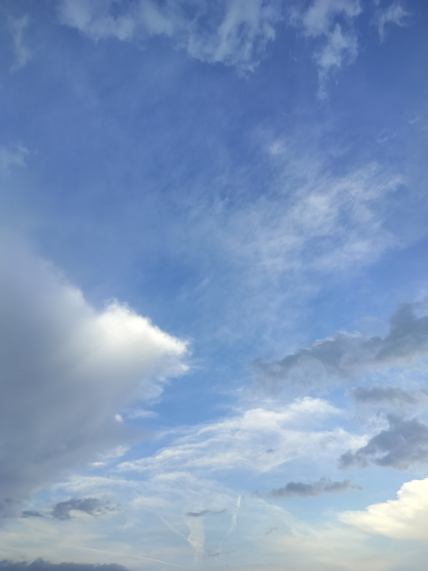 The media file presents an expansive view of a dynamic sky over Gorno Sahrane, Bulgaria, characterized by a vibrant mix of blue sky and various cloud formations. No human subjects or discernible man-made objects, aside from faint contrails, are visible.
A prominent, bright white cloud mass, possibly the edge of a larger formation, dominates the left side of the frame, illuminated by sunlight. The central and upper portions of the sky feature lighter blue hues with delicate, wispy cirrus-like clouds stretching across. Towards the lower and mid-right, smaller, denser grey clouds are scattered, suggesting varying atmospheric depths and lighting conditions. Several faint, linear contrails from aircraft are visible, particularly in the lower half of the image, trailing across the sky.
The overall impression is that of a partly cloudy day, likely mid-morning to late afternoon, given the distinct blue patches and the varied illumination on the clouds. The interplay of bright white, light grey, and darker grey clouds against the blue backdrop creates a sense of movement and depth in the atmosphere. No specific activity or event is taking place beyond the natural state of the sky. No text is visible in the image.