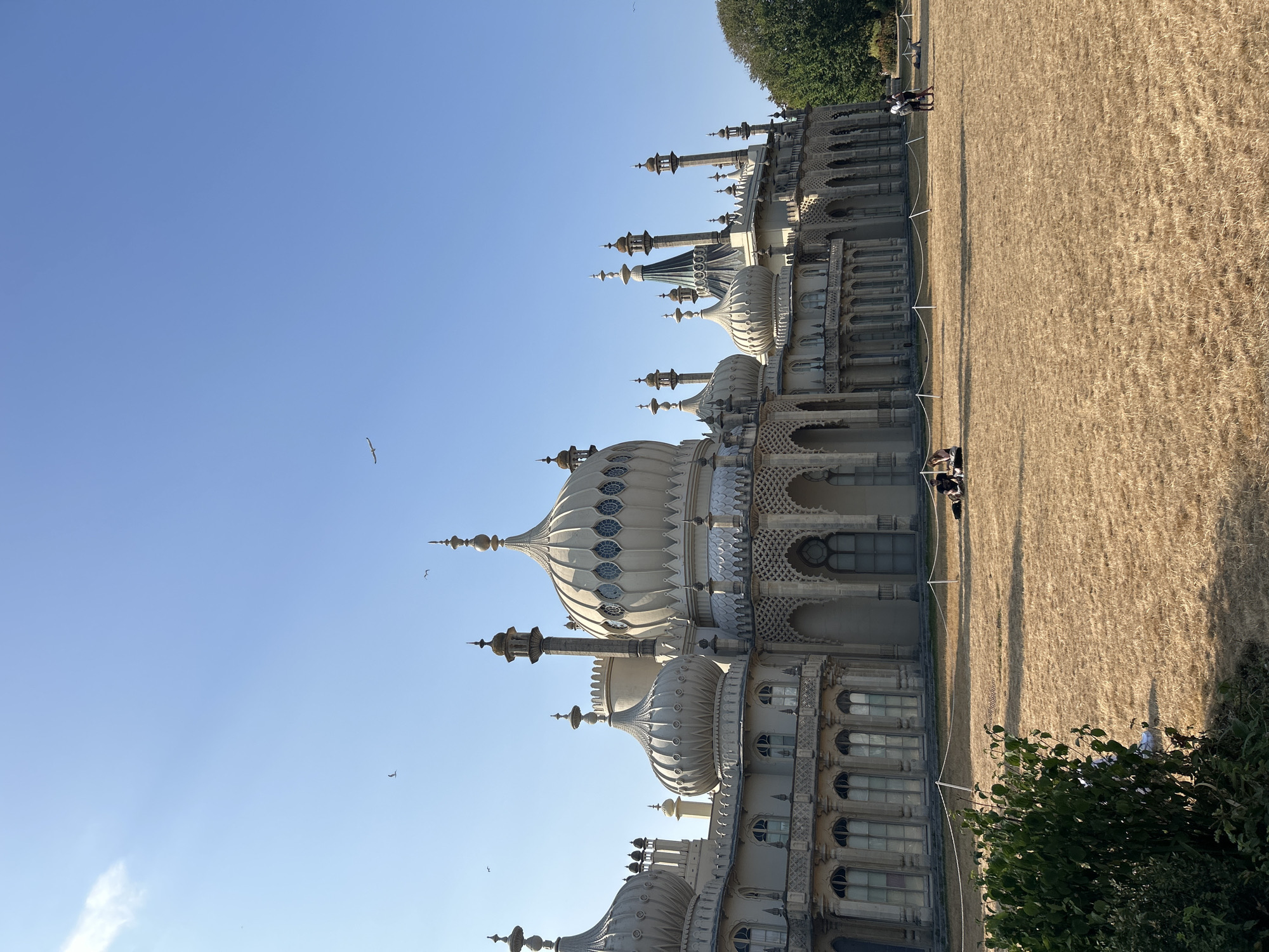 This is a full, eye-level, outdoor, daytime, wide shot of the Royal Pavilion in Brighton, United Kingdom. The iconic building, with its Indo-Saracenic architecture, domes, and minarets, is the primary subject. The structure is light-colored and features intricate detailing. The foreground consists of dry, golden grass, suggesting a warm season. Several people are scattered across the lawn, some sitting and others standing, with their interactions appearing casual and relaxed. A few birds are visible in the clear blue sky above. The scene conveys a peaceful, sunny day at a prominent tourist attraction.