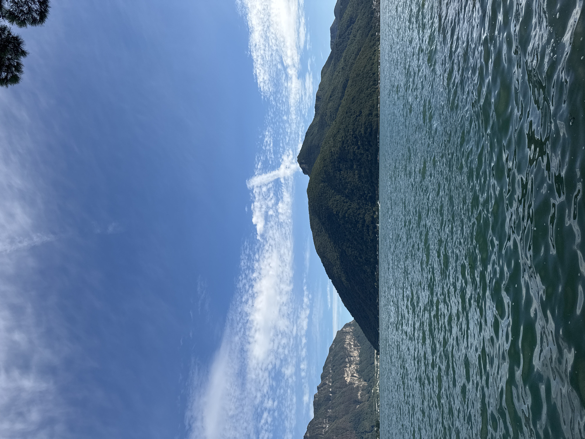 The image depicts a serene view of Lake Lugano from Melide, Switzerland. The foreground is dominated by the deep blue-green waters of the lake, with gentle ripples creating a textured surface. In the mid-ground, lush green mountains rise majestically, their slopes covered in dense foliage. The left side of the frame features a mountain with a craggy, rocky face, while the right side shows a smoother, more rounded peak. A faint white line, possibly a contrail, streaks across the bright blue sky, which is dotted with scattered white clouds. A small white boat is visible in the distance on the lake, and the outline of a town can be seen along the shoreline at the base of the mountains. The upper right corner of the image shows a dark green pine tree branch extending into the frame.