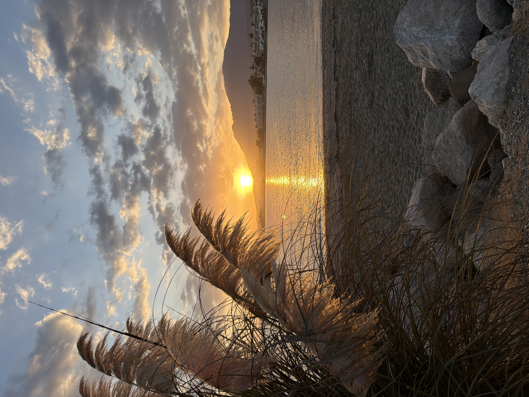 This is a photograph of a sunset over the sea in Estepona, Spain. In the foreground, tall, feathery reeds are silhouetted against the vibrant sky. The reeds are golden in color and appear to be blowing in the wind. The beach is visible in the middle ground, with sand and a few large rocks. The sea is calm and reflects the orange and yellow hues of the sunset. In the background, a coastline is visible with buildings and mountains. The sky is filled with dramatic clouds, tinged with pink and orange from the setting sun. The overall impression is one of a peaceful and beautiful evening by the sea.