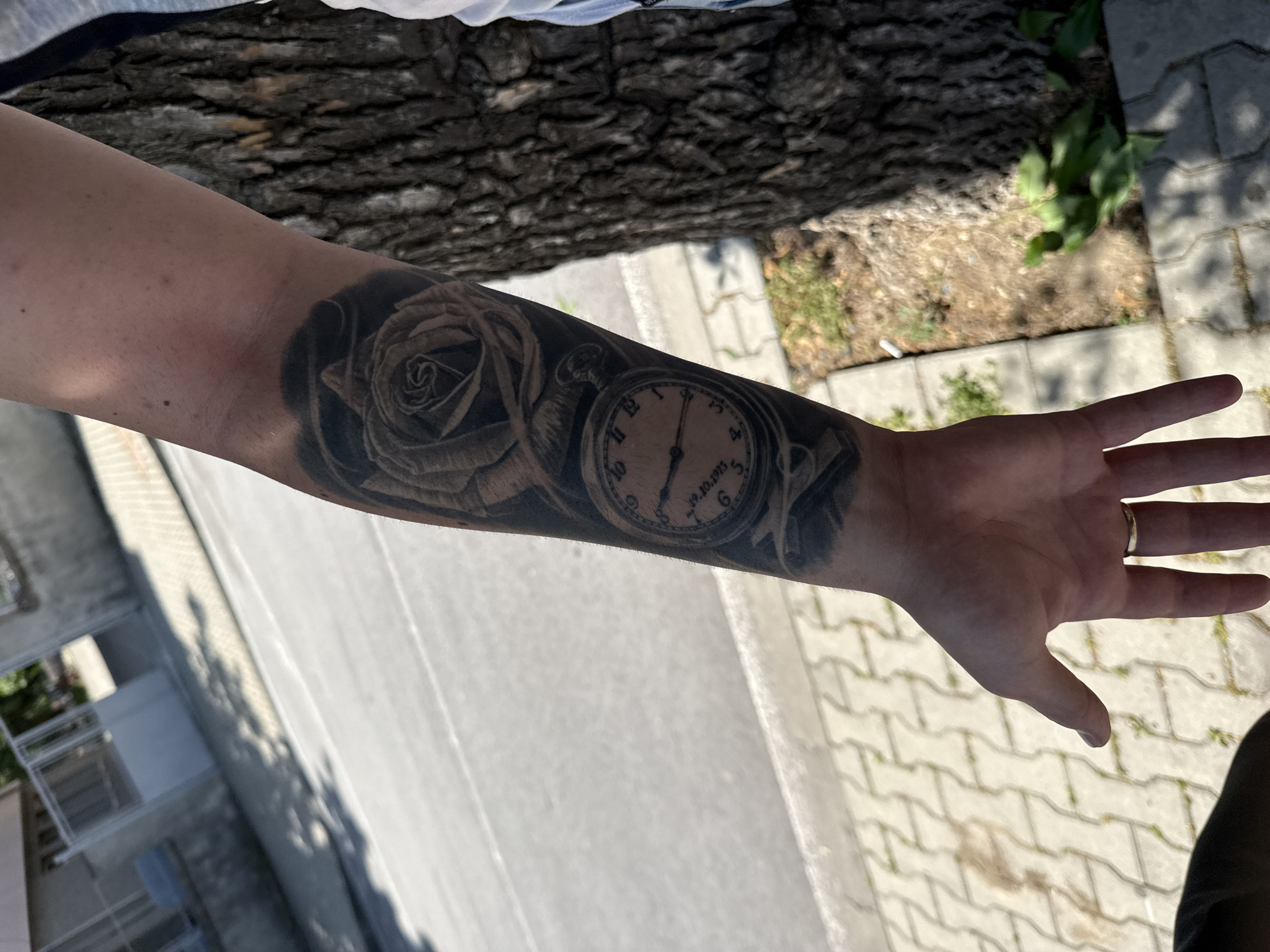 An arm with a tattoo of a rose and a clock is held out against a backdrop of pavement and greenery. The tattoo is detailed in black and white, with the clock displaying the date 19.10.1973. A ring is visible on one of the fingers. The location is identified as Elhovo, Bulgaria.