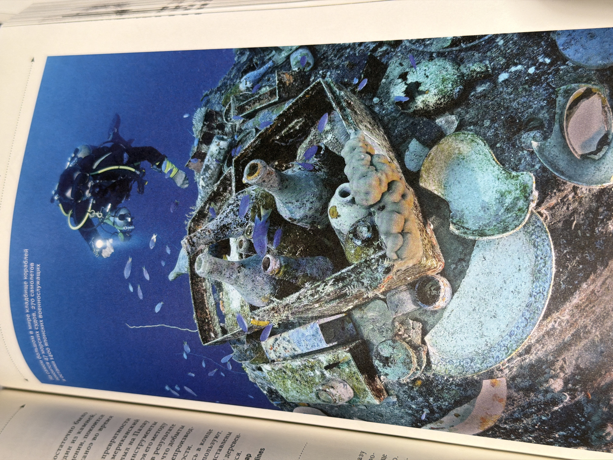 This image captures an underwater scene featuring a scuba diver exploring a historical shipwreck. On the left, a diver in a black and yellow wetsuit, equipped with a mask, tanks, and an underwater light, illuminates parts of the wreckage. The light highlights details of the submerged structure and artifacts.
The central and right portions of the image are dominated by the remains of a vessel, heavily encrusted with marine growth, including corals and sponges, in tones of green, white, and brown. Numerous ancient pottery vessels, likely amphorae or jars, are visible among the debris. Some are intact, while others are broken, partially buried, and covered in marine life. Small, iridescent blue and silver fish swim actively around the wreckage and the diver. The deep blue of the water suggests significant depth, and natural light filters down from above, creating an ethereal ambiance.
Visible Russian text on the page provides crucial context. A prominent headline, rotated at the top-left, states: "At the world's largest graveyard of ships, 47 naval vessels, 270 aircraft, and the remains of 1400 Japanese servicemen rest." Further text mentions "Palau," confirming the location as a significant World War II Japanese shipwreck site, possibly Truk Lagoon or a similar area in Palau, renowned for its wreck diving. The scene depicts an ongoing exploration or documentation of this historical and archaeological site.