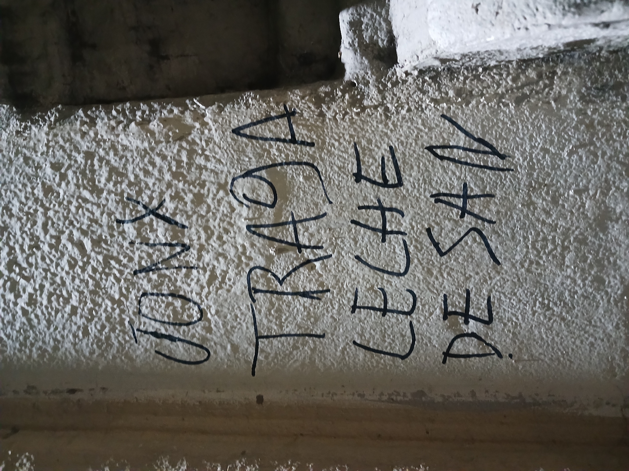 The media file presents a close-up view of graffiti marked with a black pen or marker on a light-colored, heavily textured wall. The wall surface appears to be concrete or stucco, exhibiting an uneven, rough finish. Above this textured surface, a darker, coarse structure, possibly an overhead beam or ceiling, is visible. The lighting is somewhat dim, highlighting the tactile quality of the wall.
No people or discernible objects are present other than the wall and the inscriptions. The activity depicted is the act of writing on a wall, characteristic of graffiti.
The visible text is in black and written vertically on the wall. From left to right, the words are:
1. **JONY**
2. **TRAGADA**
3. **LECHE**
4. **DESAL**
The words are in Spanish. "Jony" is likely a nickname. "Tragada" means "swallowed." "Leche" means "milk." "Desal" is ambiguous; it could be an abbreviation, a name, or part of a larger word. Given the context of "tragada" and "leche," the phrase could carry vulgar or colloquial connotations. The overall impression is one of casual, unauthorized markings in an interior or sheltered space. The context provided indicates the location is Buenos Aires, Argentina.