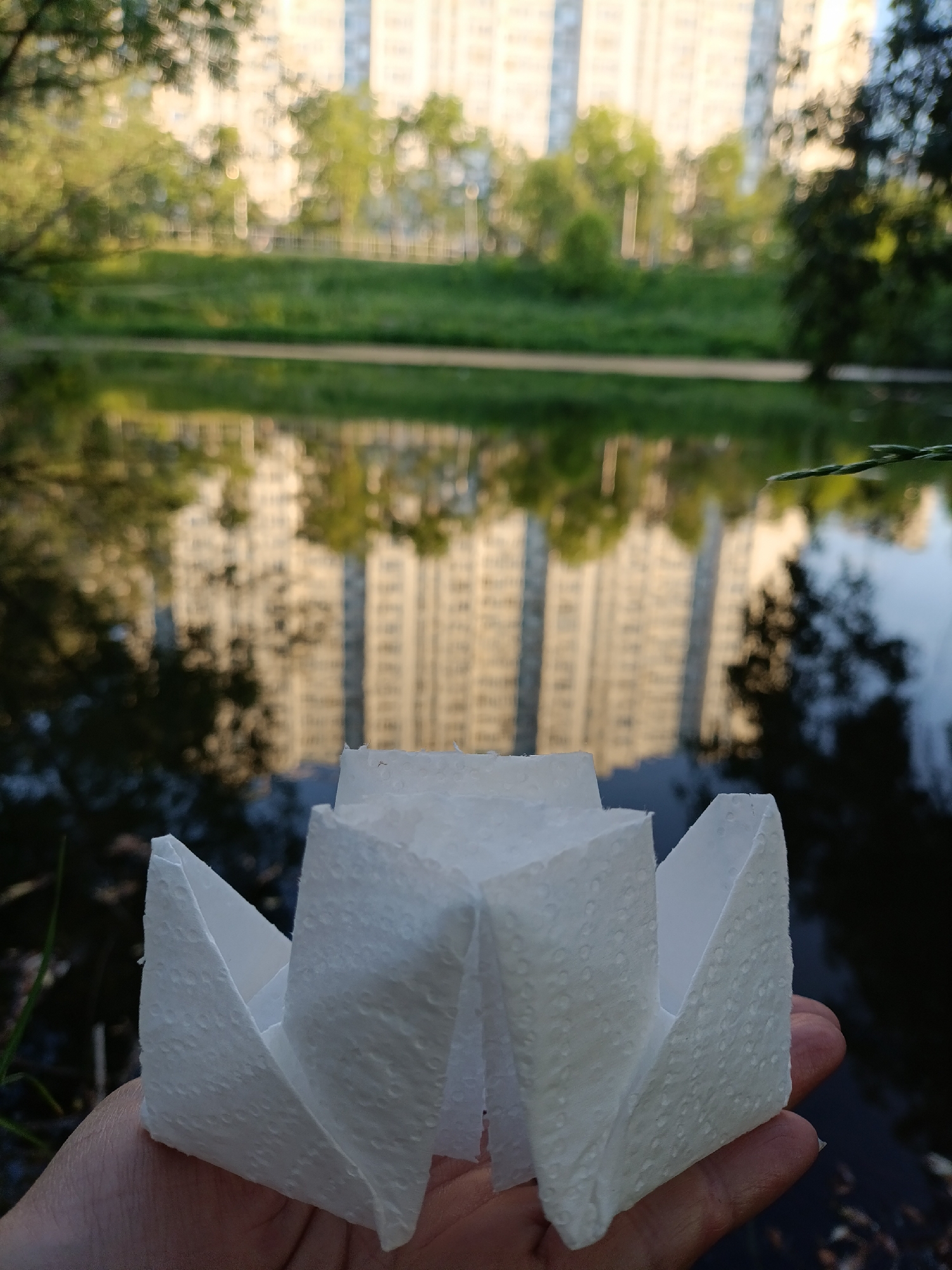 The image depicts a human hand holding a white, textured origami-style paper object in the foreground, with a blurred urban park scene as the background. The paper object, approximately 10-12 cm in its widest dimension, appears to be made from a soft, dimpled paper resembling a paper towel or tissue, folded into a symmetrical, multi-faceted structure with several open compartments or petals. It is held upright by the palm and fingers, extending towards the viewer.
Directly behind the hand and object is a calm body of water, likely a pond or small lake, occupying the mid-ground. The water perfectly reflects the distant landscape, which includes blurred images of tall, light-colored (possibly beige or white) multi-story residential buildings. A strip of green trees and foliage is visible between the water and the buildings, both directly and in reflection. Additional out-of-focus green foliage is present on the left and right edges of the image, suggesting a tree line or bushes closer to the viewer. The sky above the buildings is bright but diffused. The overall lighting suggests natural daylight.
The scene is consistent with an urban park environment in Moscow, Russia, featuring typical high-rise residential architecture and green spaces often found alongside bodies of water within the city. The exact park location or specific address is not discernible from the visual information provided.