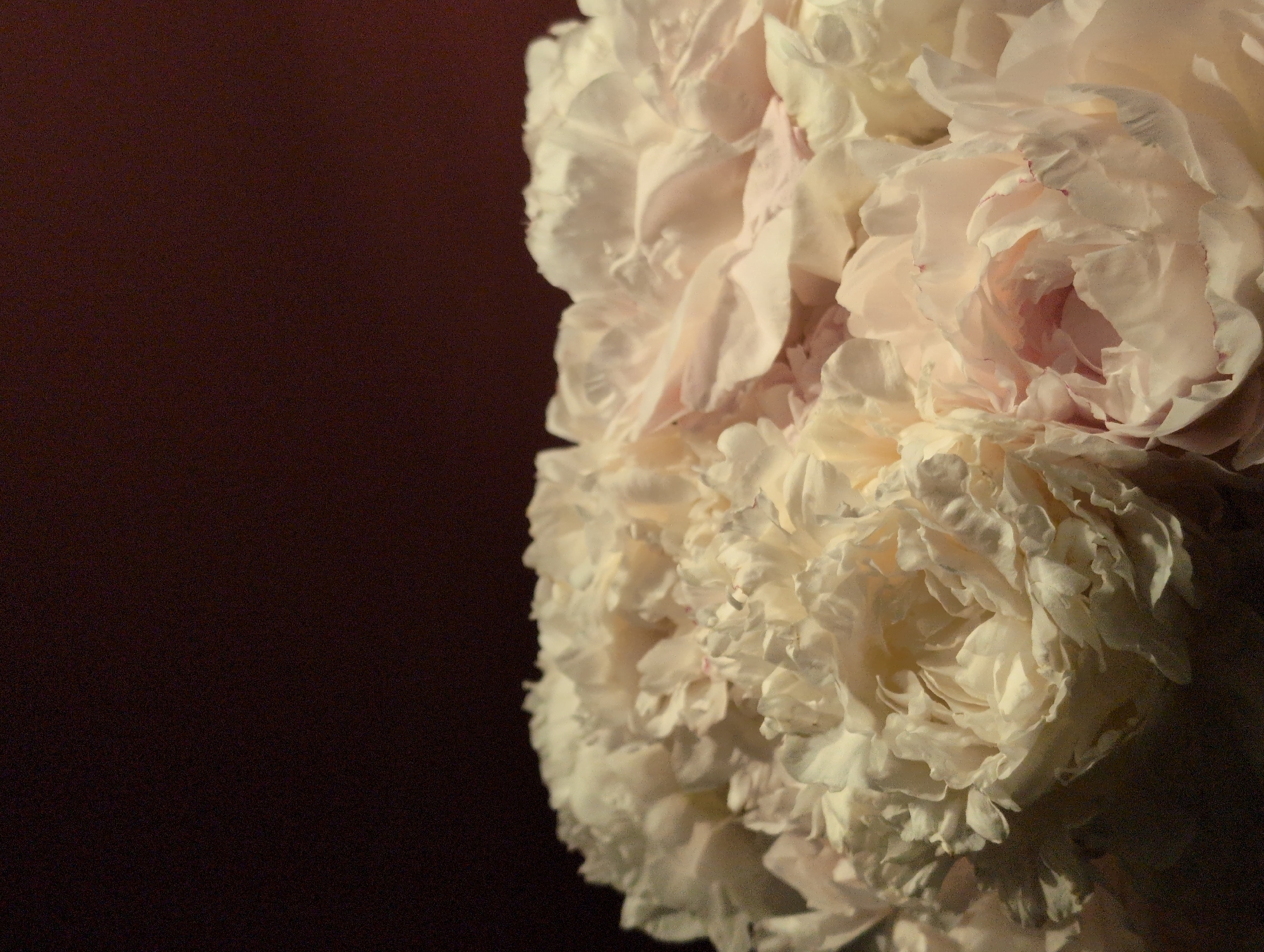 The image is a close-up, low-angle shot of a bouquet of pale pink and white peonies against a dark, out-of-focus background. The flowers are densely packed, with many layered petals, some showing hints of pink at their edges. The lighting is soft, casting gentle shadows and highlighting the delicate texture of the petals. There is no indication of a specific location in Kyiv, Ukraine, or any people, actions, or interactions.