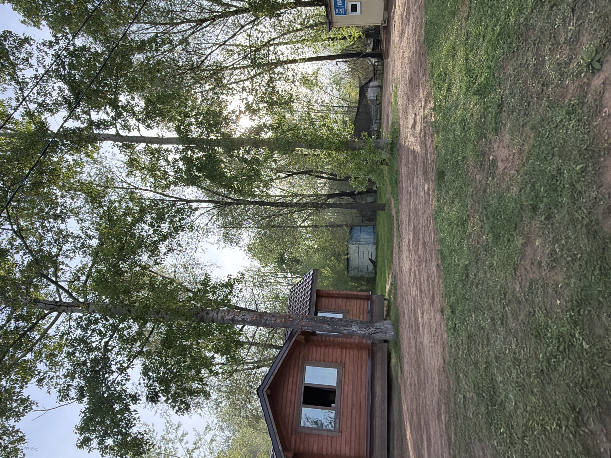 The image shows a wooded area, likely a park or campground. There is a small wooden cabin on the lower left of the image with a window visible. A dirt path with grass on either side runs alongside the cabin. In the background, there's another small building with a blue sign, partially obscured by the trees. The trees are tall, with leaves filtering the sunlight, giving the scene a bright, airy feel. Electrical wires are visible running through the treetops.