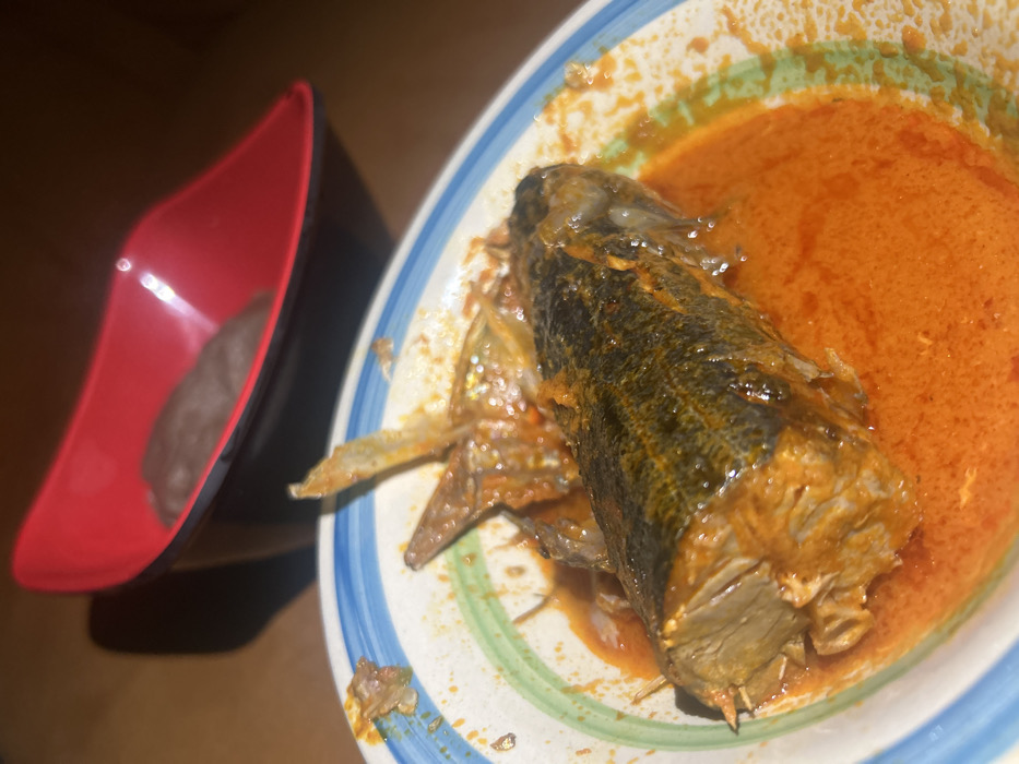 This image depicts a meal served in Egbe, Nigeria. In the foreground, a white bowl with blue and green striped rim patterns contains a large portion of cooked fish, possibly catfish, immersed in a bright orange-red sauce. Skeletal elements, including fins, are visible on the fish. In the background, out of focus, a red and black stylized bowl holds a single, dark, oblong mass, consistent with a Nigerian 'swallow' food item. The setting appears to be indoors with subdued lighting. No individuals are present in the frame.