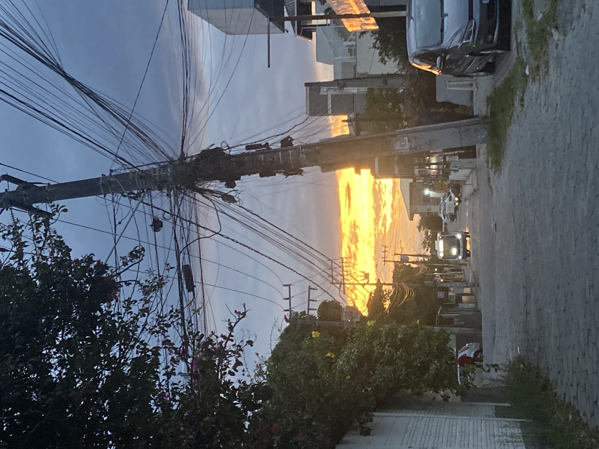 The image shows a street scene in Florianópolis, Brazil, during a sunset. A utility pole laden with numerous power lines dominates the left side of the frame. Dense vegetation, including bushes with pink and yellow flowers, is visible at the bottom. A street stretches into the distance, with buildings visible on either side. Cars are parked on the right, and a white bus with headlights on is seen approaching. The sky is a mix of blue and yellow, illuminated by the setting sun.