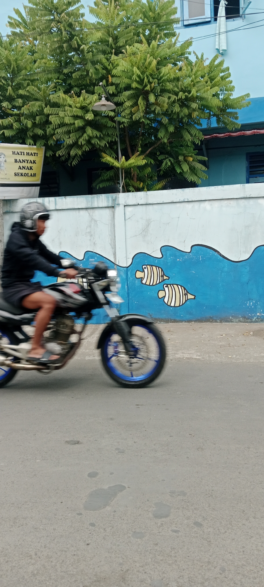 A person wearing a helmet and a black hoodie rides a motorcycle on an asphalt road. The motorcycle has a black and red frame, a silver engine, and a blue-rimmed front wheel. The rider is wearing shorts and flip-flops. Behind the motorcycle, a light blue wall is painted with a mural of blue waves and two yellow fish with black stripes. A green tree with dense foliage grows in front of a blue building. A yellow sign with Indonesian text is visible behind the tree. The road has several small puddles and stains. The scene appears to be in a residential area or near a school in Purwomartani, Indonesia.