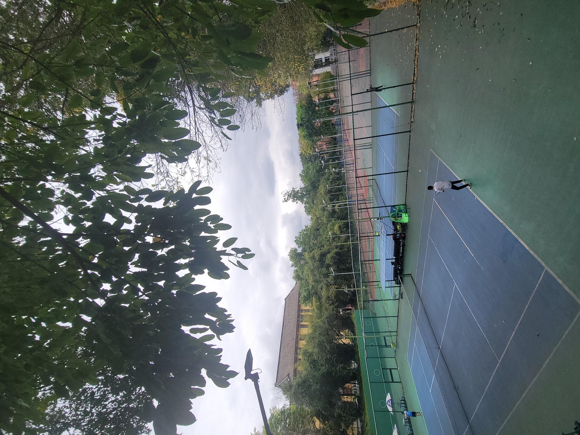 This outdoor image, likely taken in Shapingba District, China, presents a view of multiple sports courts, possibly for tennis or padel, framed by lush green trees and an overcast sky. The photograph is taken from a slightly elevated perspective, looking down and across the courts.
In the foreground and to the left, dense green foliage from trees partially obscures the view. The sky, characterized by soft gray clouds, stretches across the upper and middle sections of the image.
The sports facility features several courts with distinct green and blue playing surfaces, marked with white lines and separated by tall fences. On the main court in the lower right, a person wearing a white shirt and dark pants is visible, standing on a blue court section. A bright green ball collection basket or cart is positioned nearby, suggesting a practice session, and several tennis balls are scattered on the court. Another individual can be seen further back on a green court behind the primary one.
In the background, beyond the courts and trees, a long, light-colored building with a dark roof is visible, indicating an urban or campus environment. A street light pole stands out on the left side of the image, emerging from the tree line. The overall setting is a recreational sports area on a cloudy or overcast day. No discernible text is clearly visible on any objects or signs.