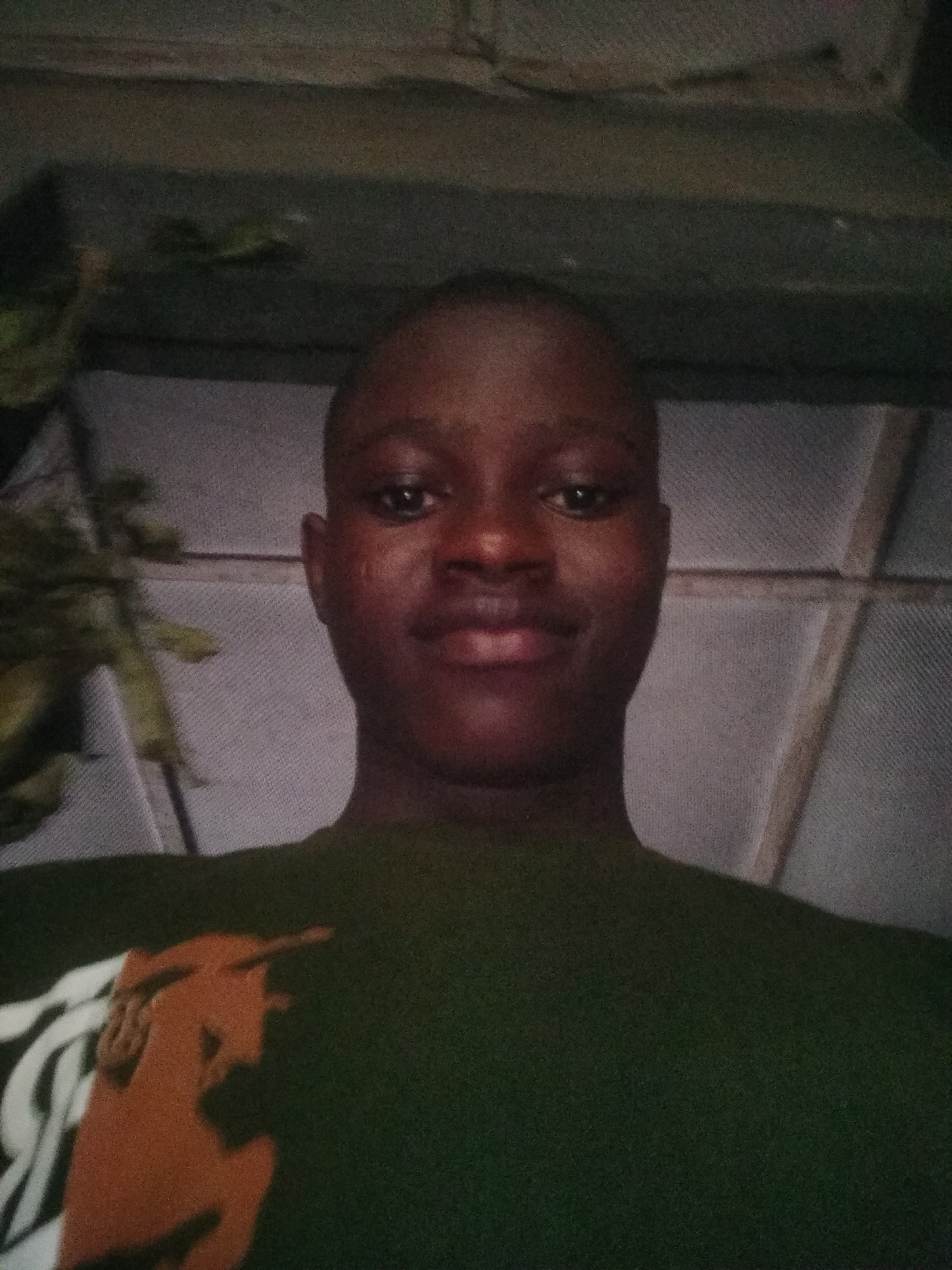 A medium close-up shot shows a dark-skinned man with a shaved head. He is centered in the frame, looking directly at the camera with a slight smile. He is wearing a dark green t-shirt with an orange logo on the left side.
The background is a mixture of blurry textures. Above him, there appears to be a ceiling or roof with a rough, possibly metallic or painted texture. To the left, out of focus green foliage is visible, possibly from a plant or tree. Behind the man and the foliage, there is a patterned surface that could be a wall or other structural element with lighter tones and possible linear divisions. The location appears to be indoors or in a covered area. The city is unknown.